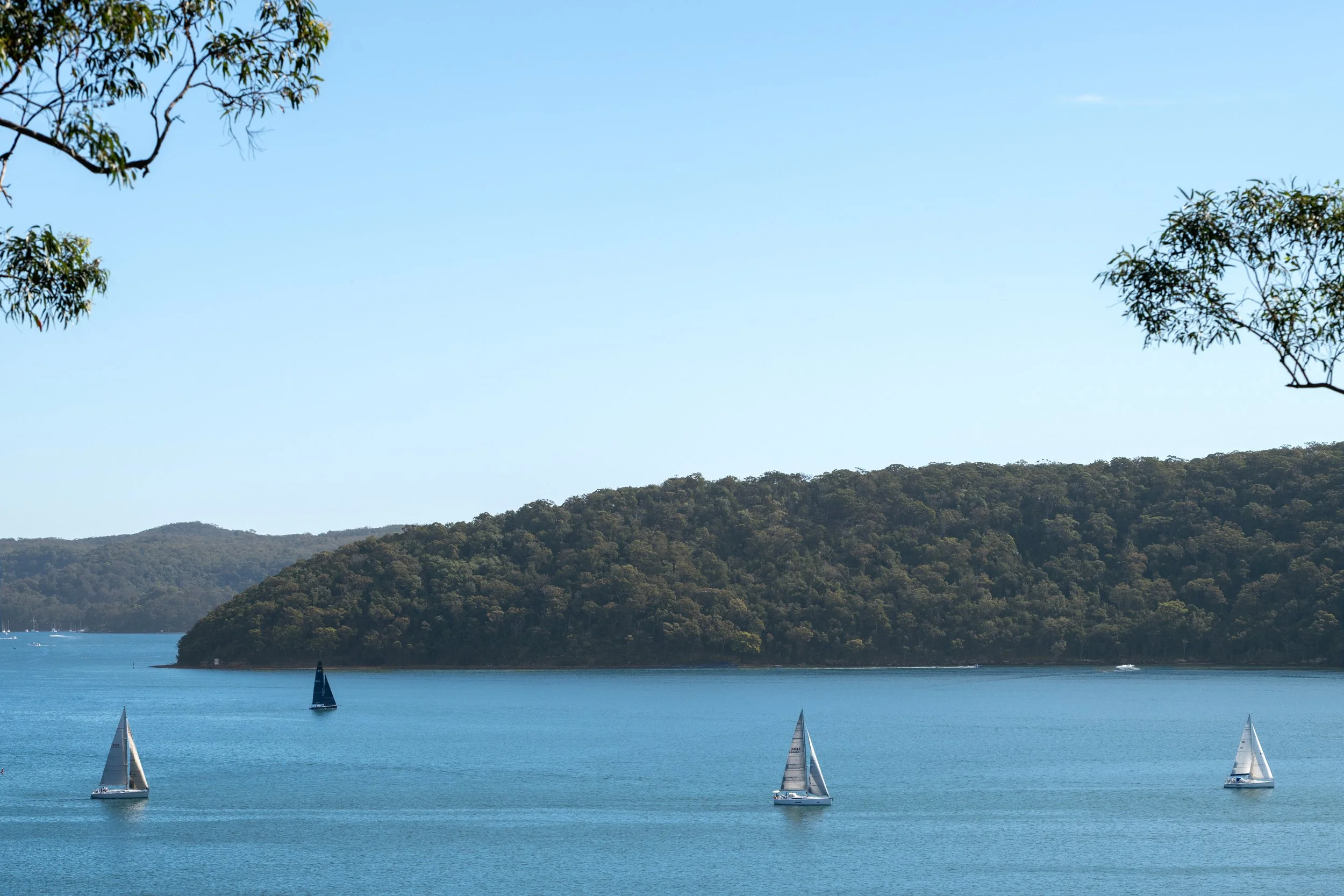 970_barrenjoey_035.jpg