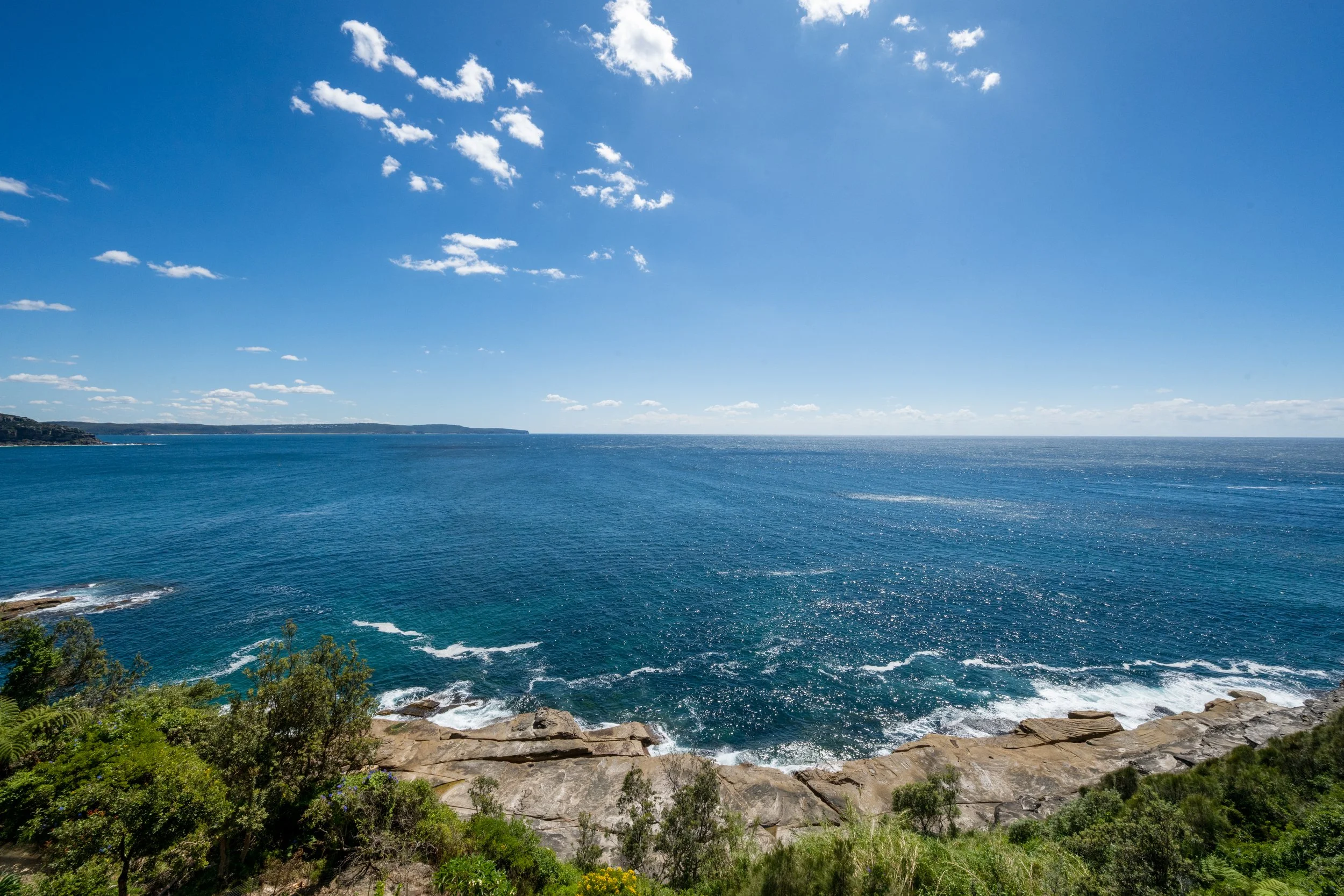 407_whale_beach_004.jpg