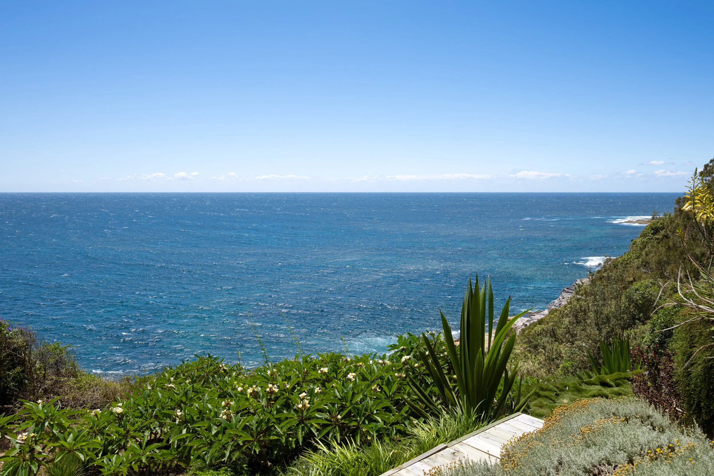407_whale_beach_033.jpg