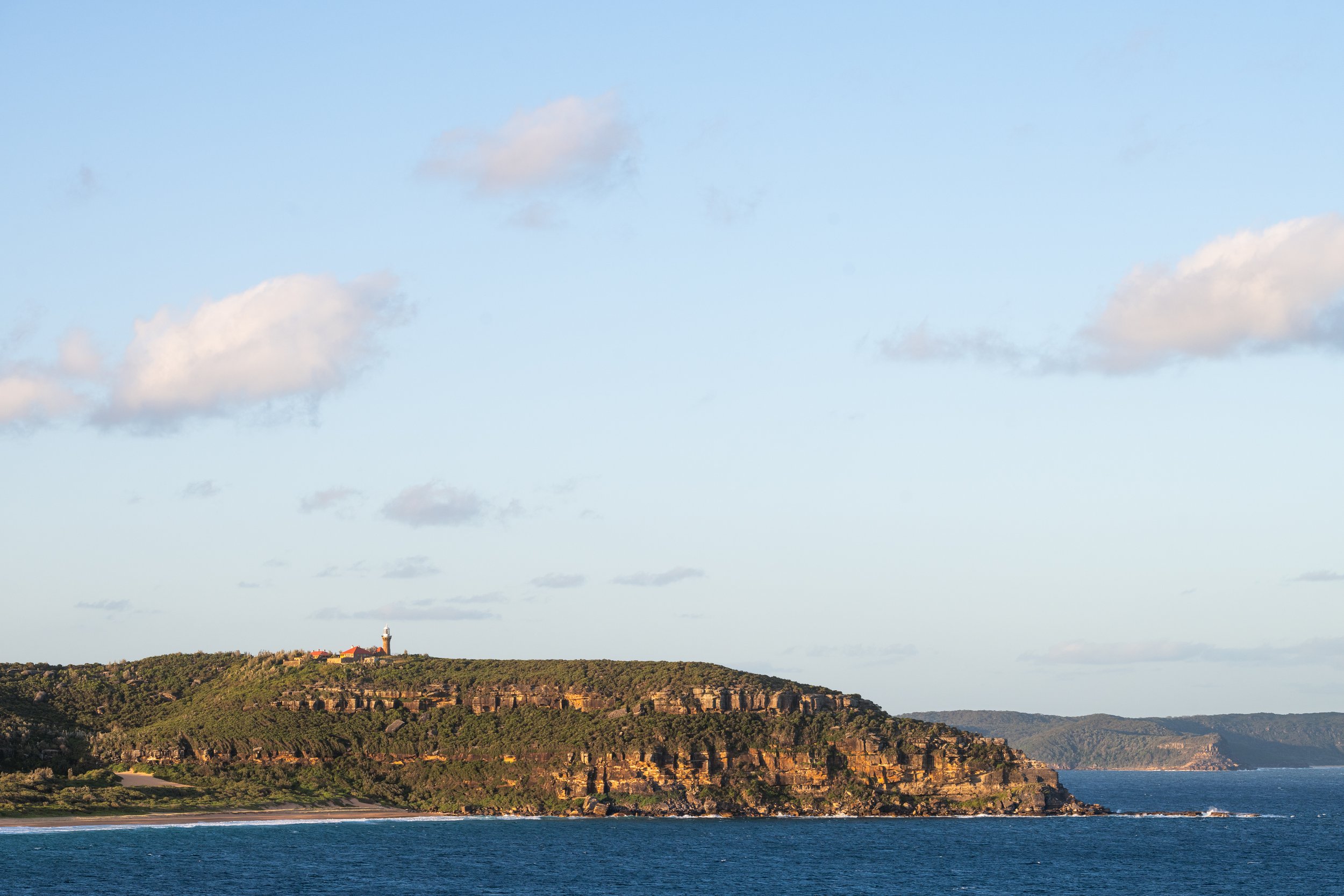 407_whale_beach_064.jpg