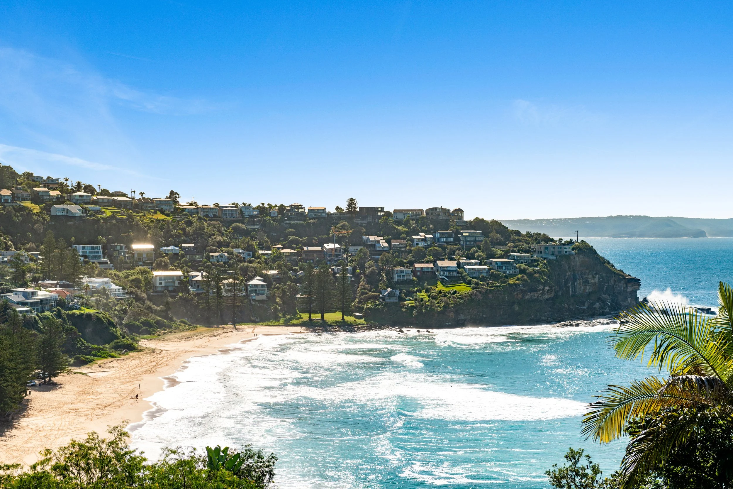 146_whale_beach_013.JPG