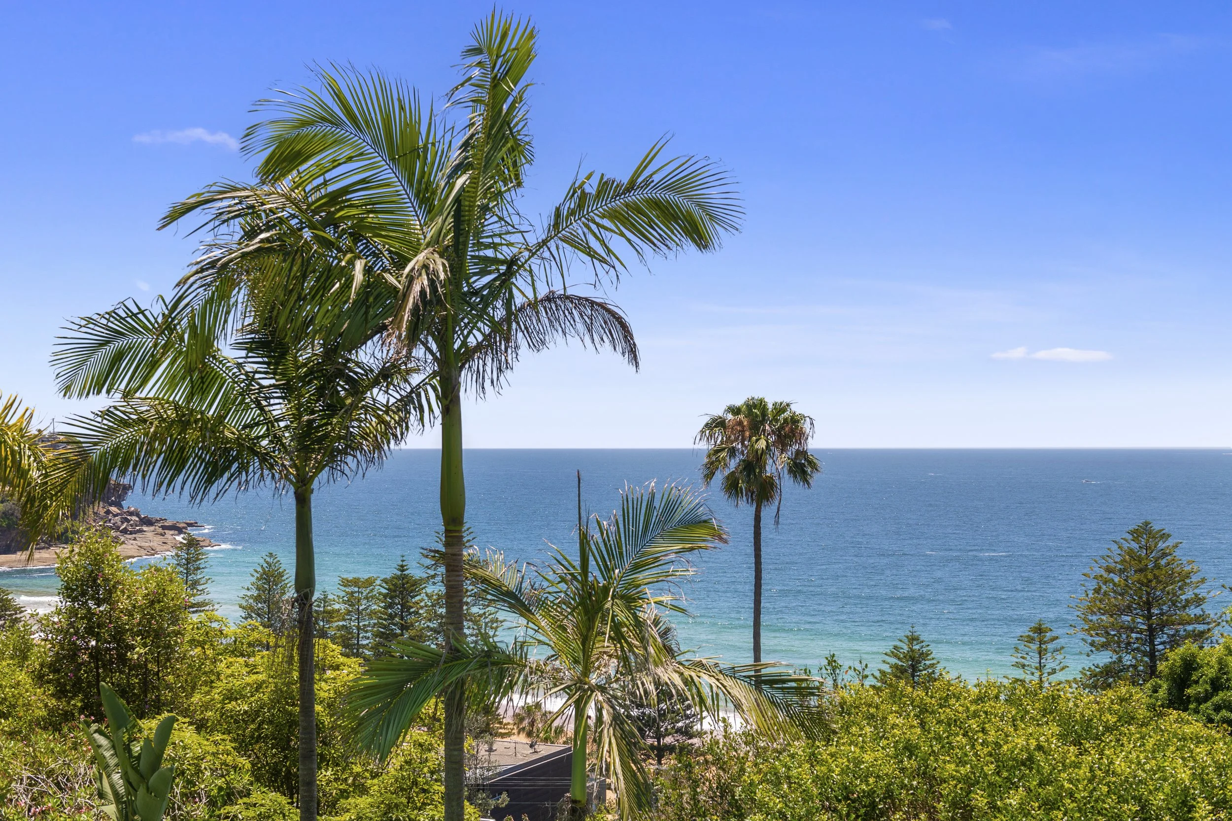 16_palm_beach_022.jpg