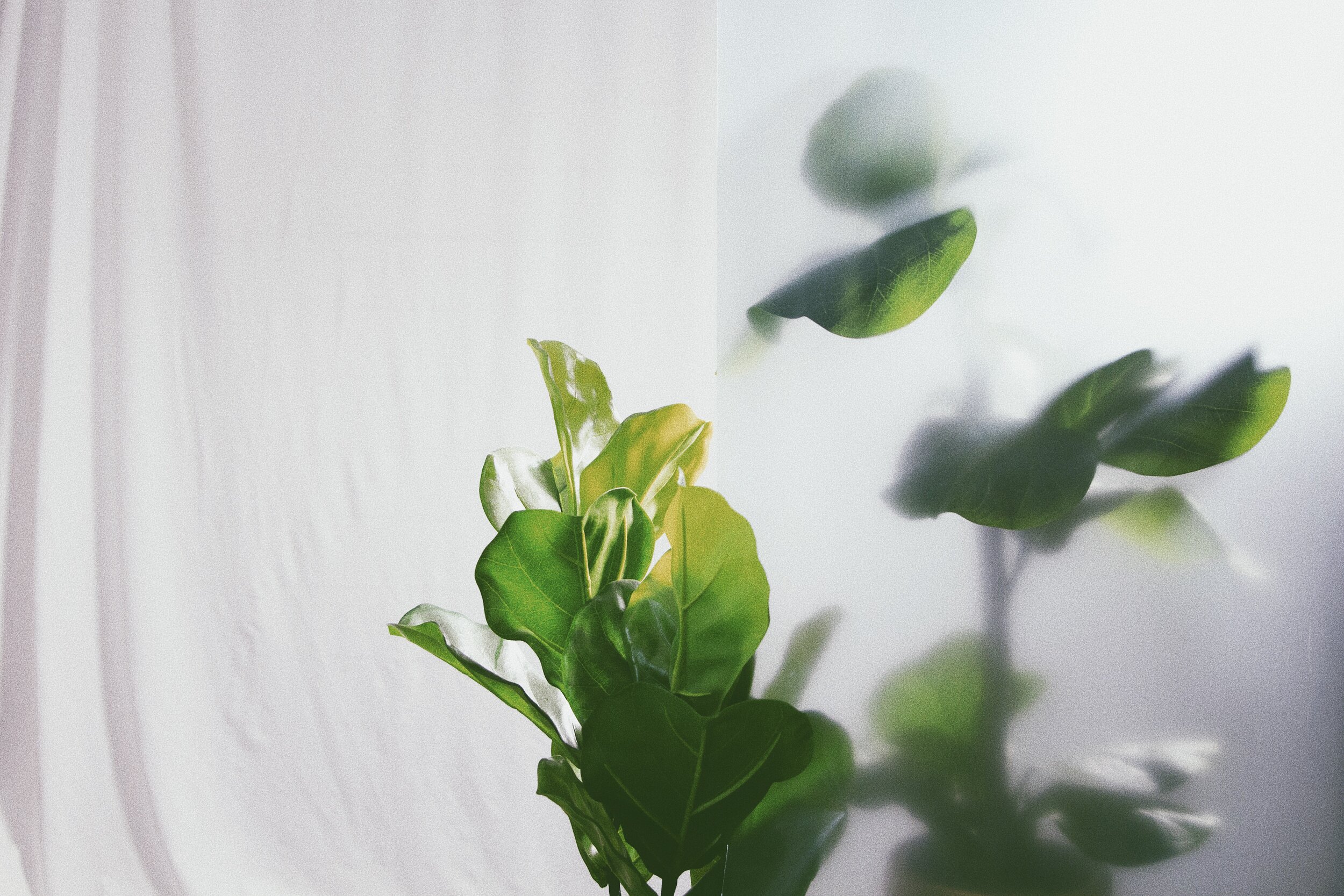 PILLAR FAST: DAYS 28 - 30