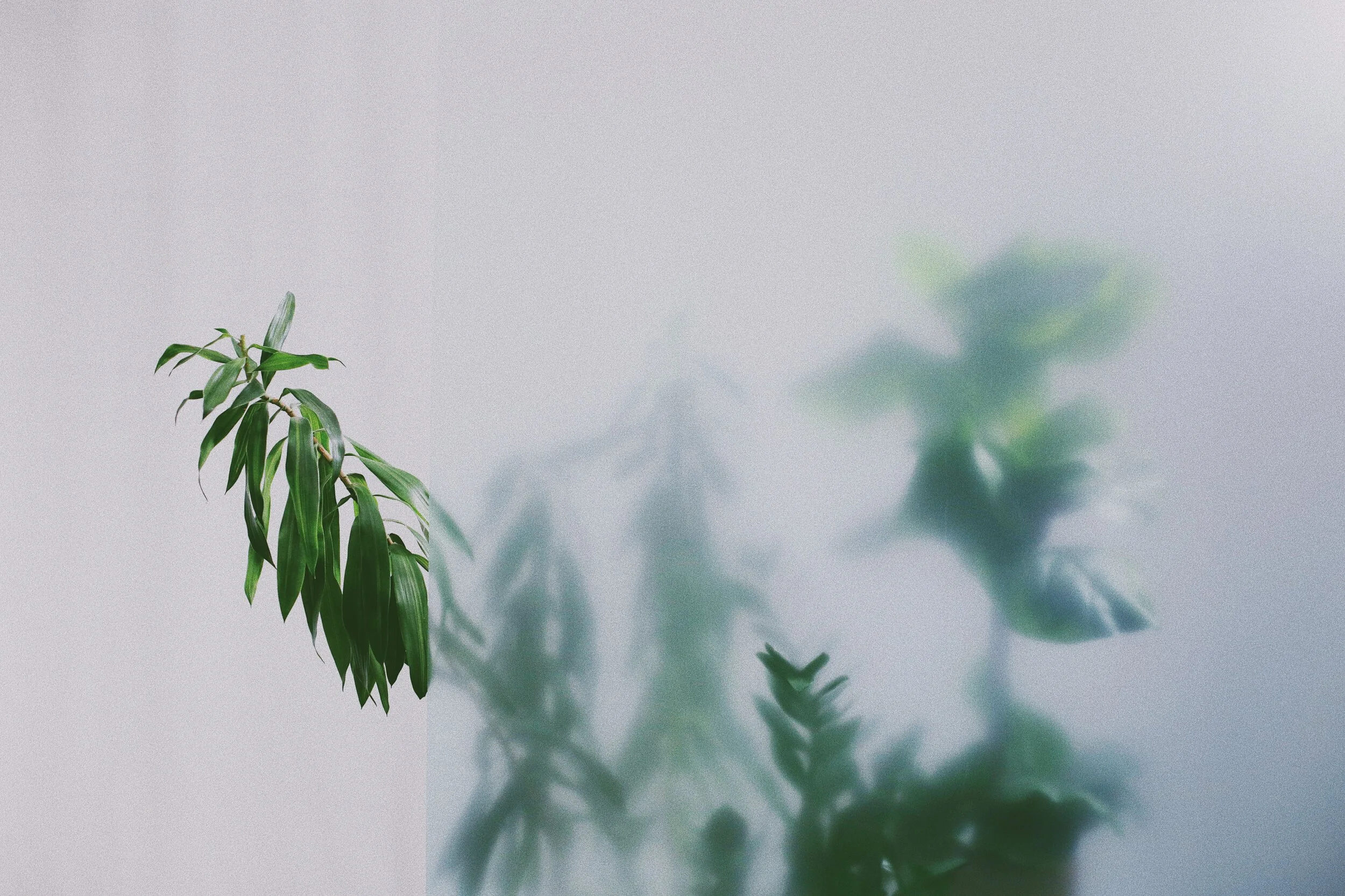 PILLAR FAST: DAYS 31 – 33