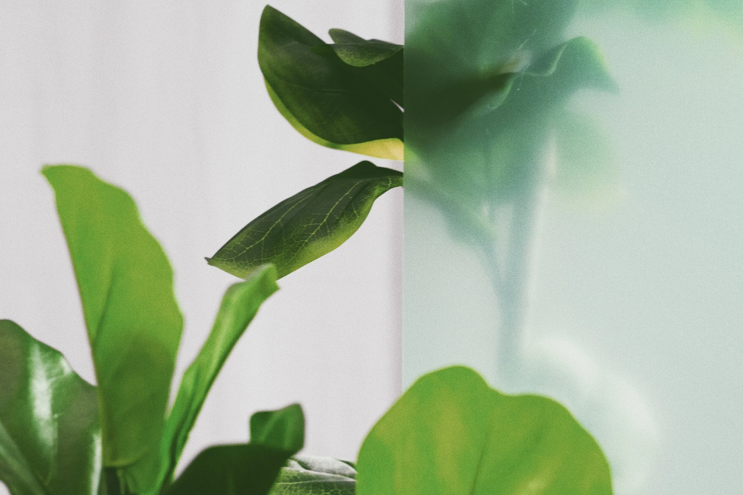 PILLAR FAST: DAYS 29 - 31