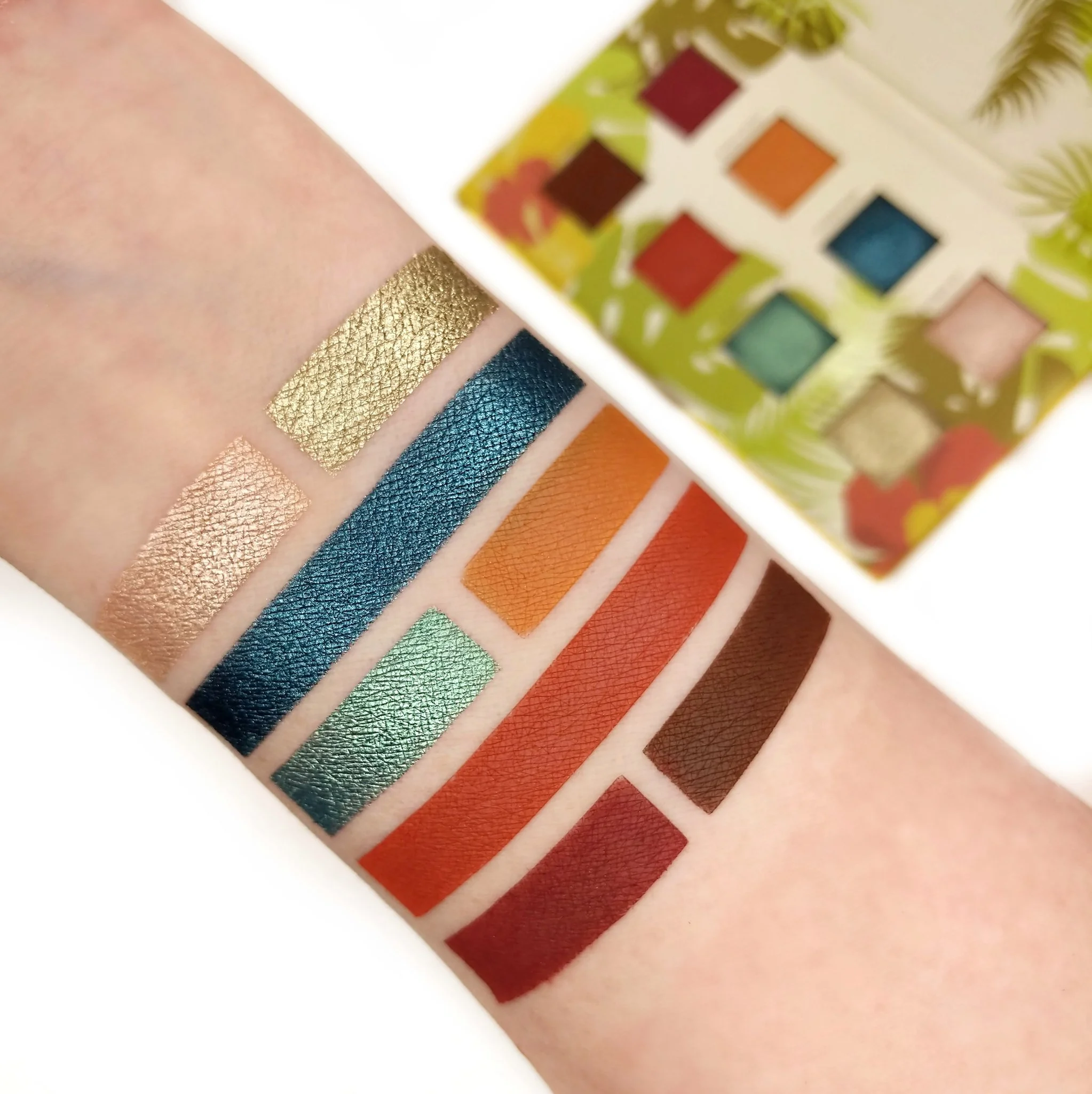 alamar_rectangle_swatches_1024x1024@2x.jpg