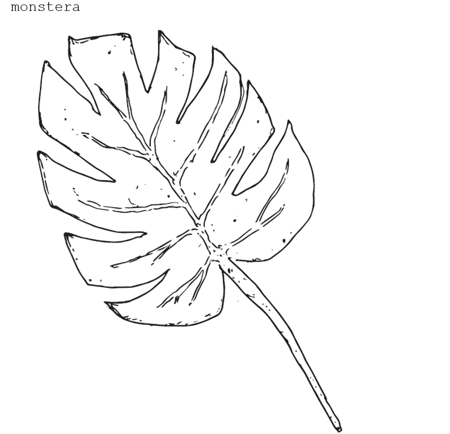 monstera clip.PNG