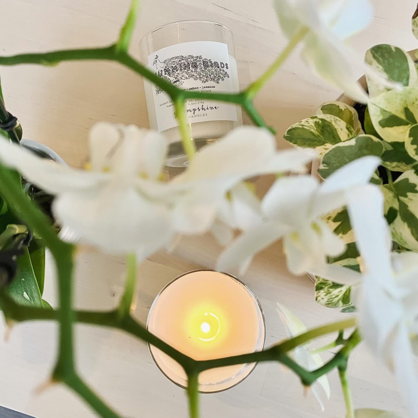 A different perspective 🕯️🔥
#candles #904 #sustainable #🕯 #sustainableliving #cleanliving #dtwd #holidaygifts #ilovecandles #cozy #hygge