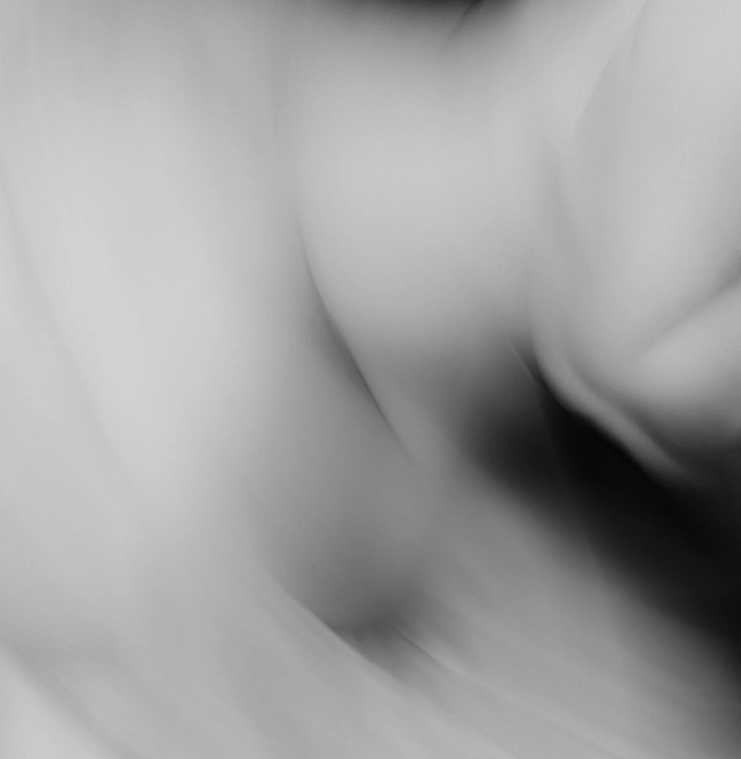 1F2A0444.jpg