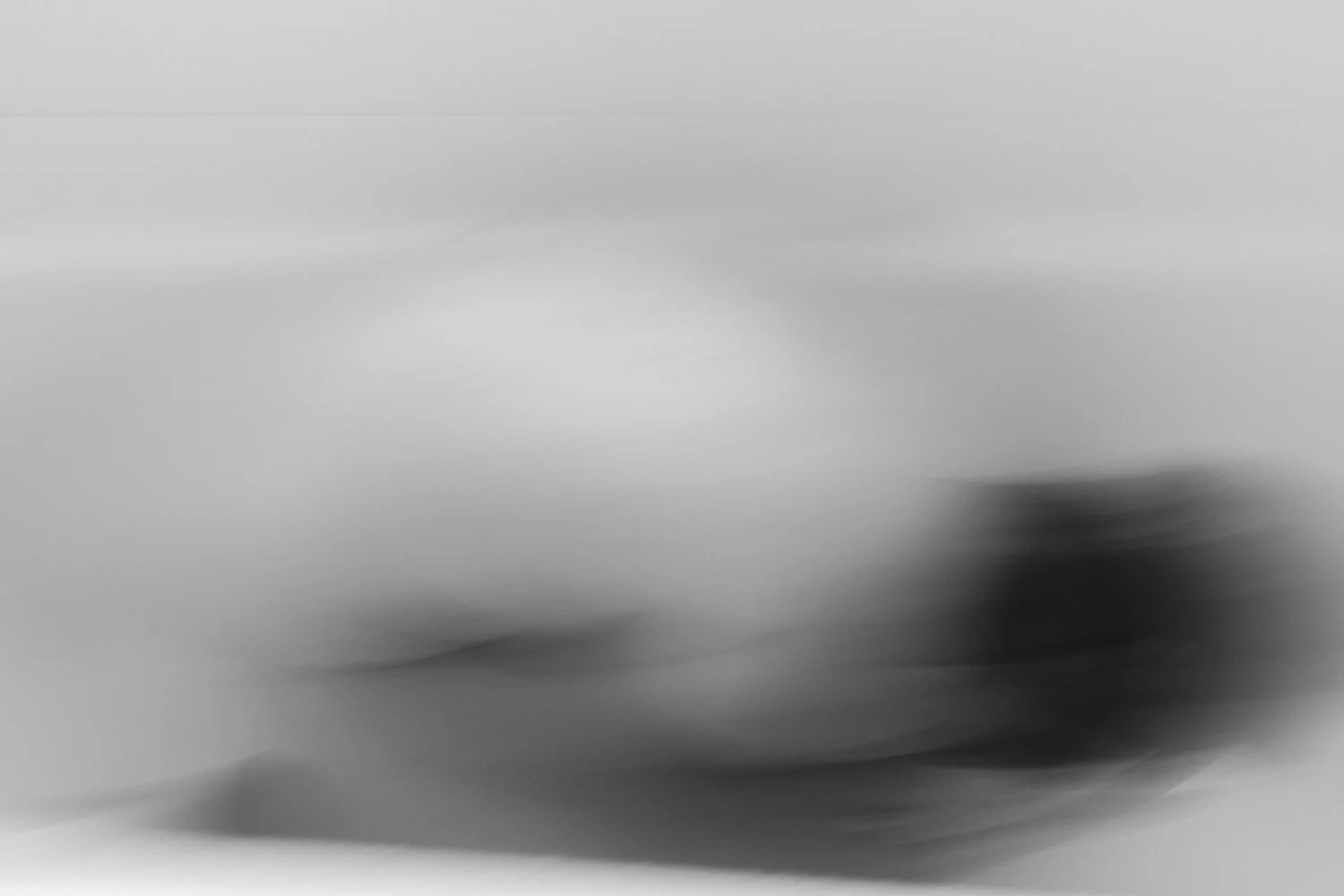 1F2A0732.jpg