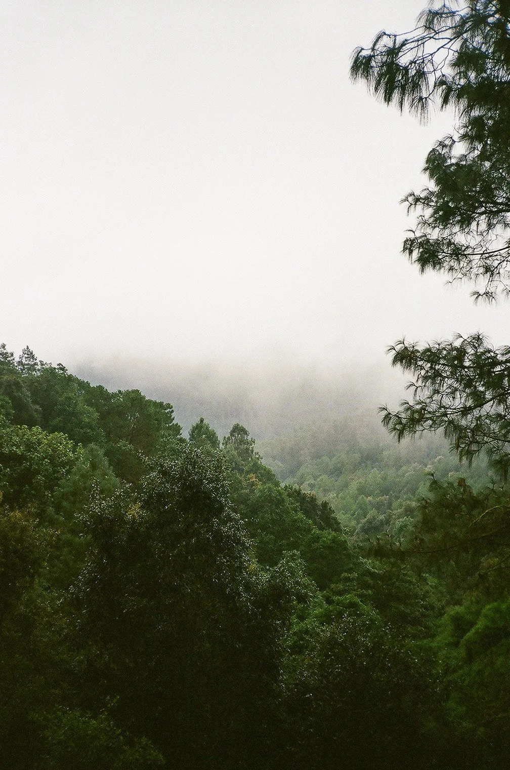 subtle breath