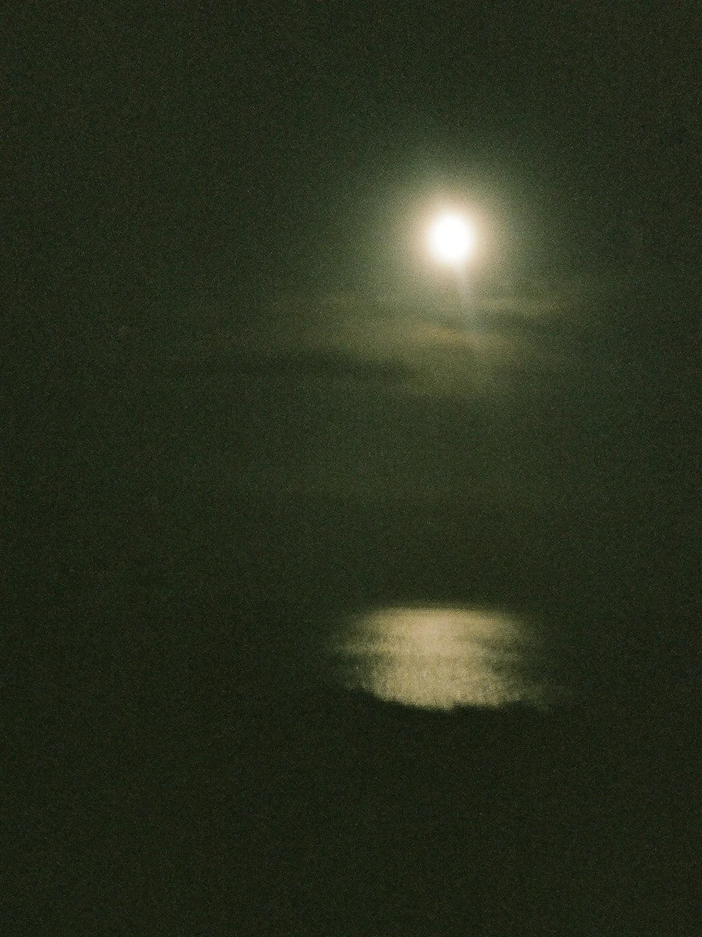 moonlight lovers