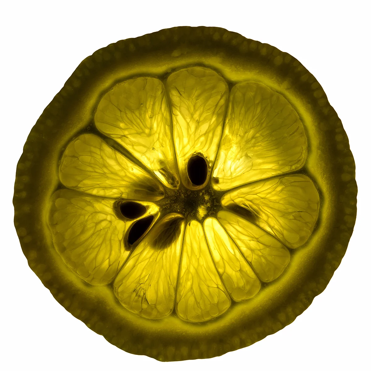 lemon.jpg