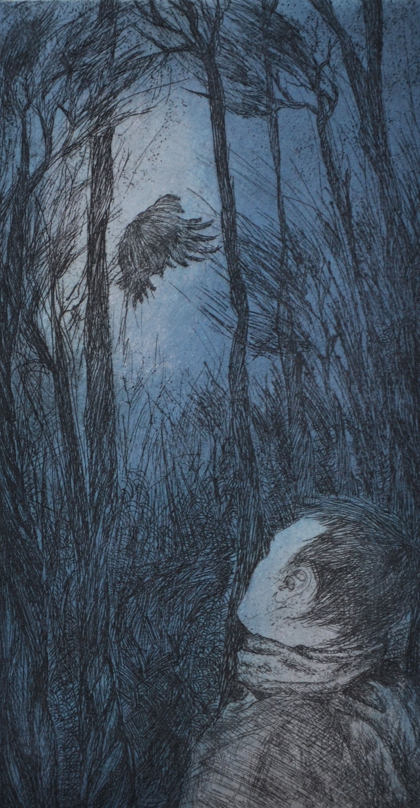 Riley and the Ruru, etching and aquatint,275 x 150mm, 2008