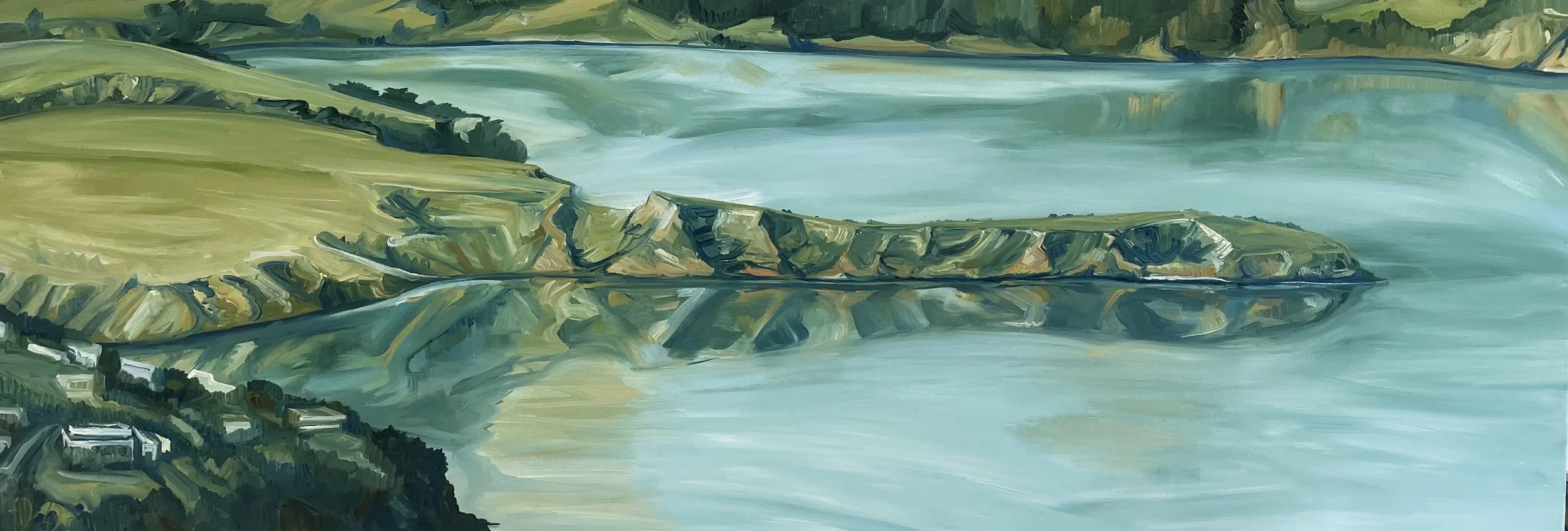 Hammond Point before the planting