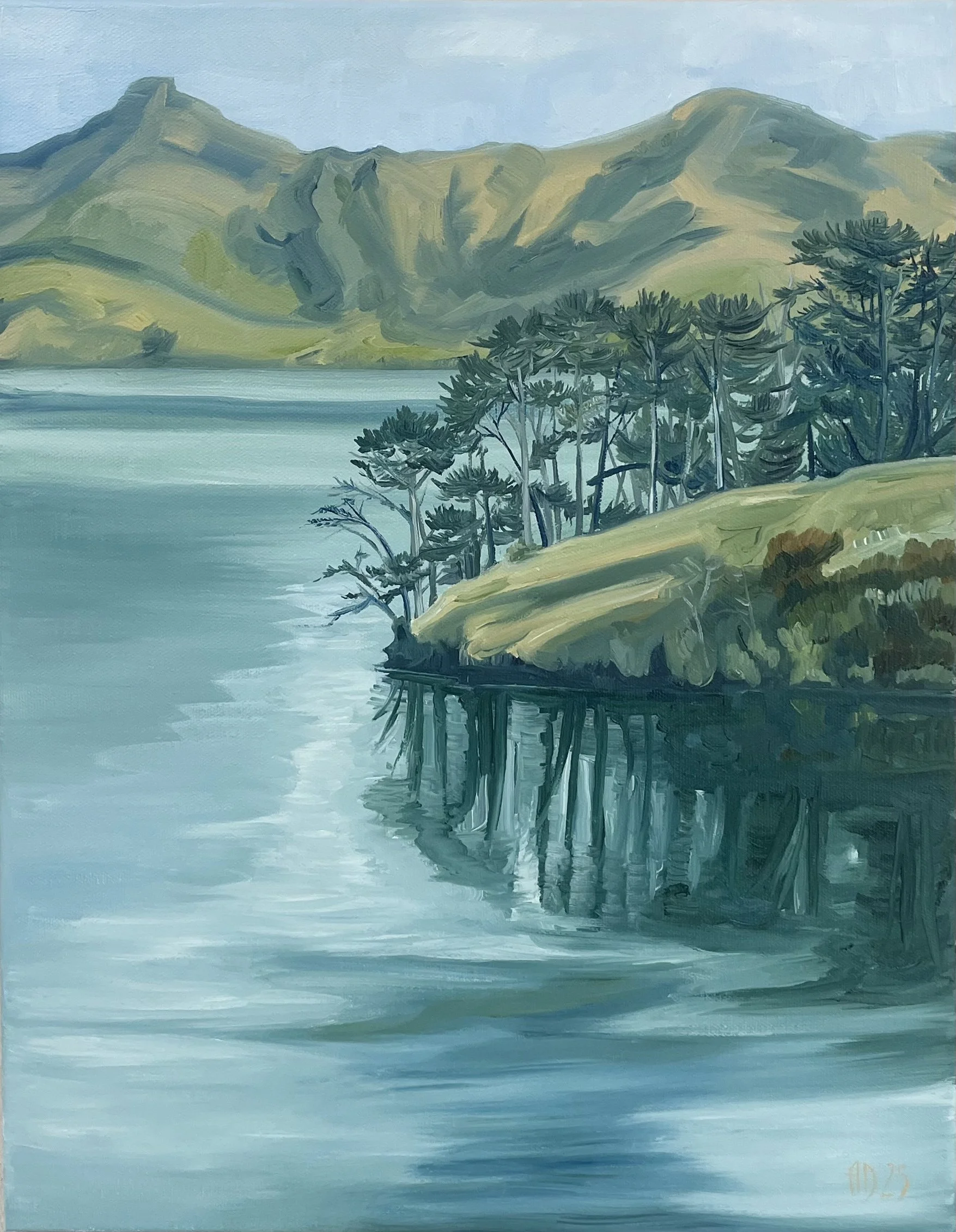 Old man pines and Bossu