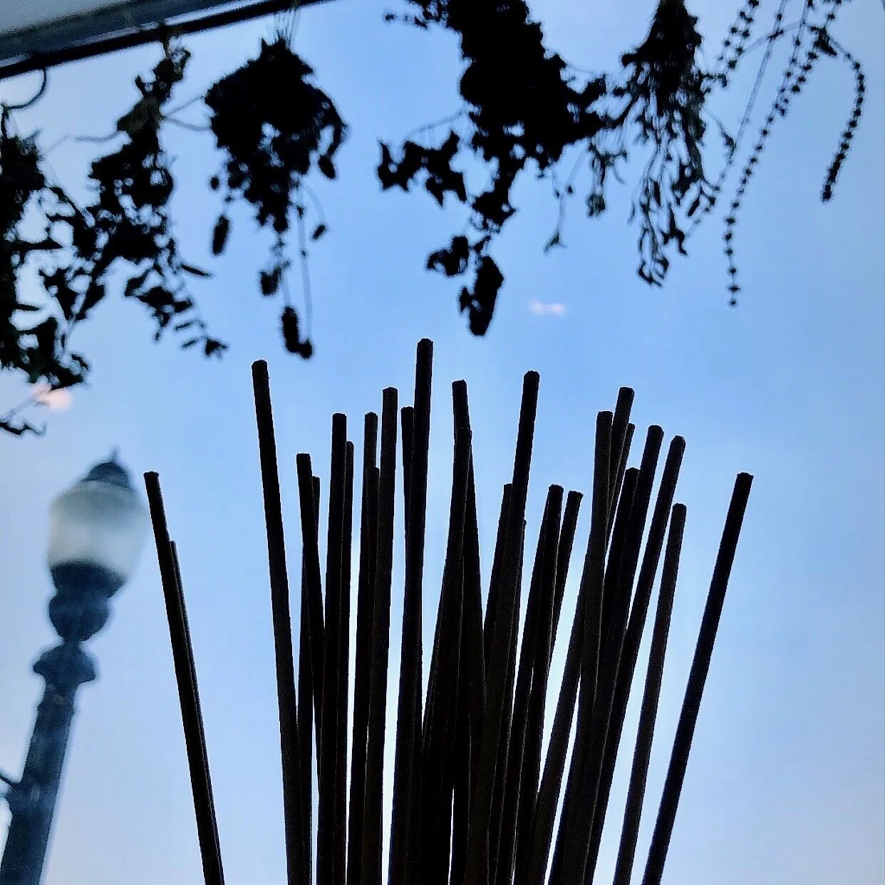 Nouveau Incense - 15 Hand Dipped Sticks