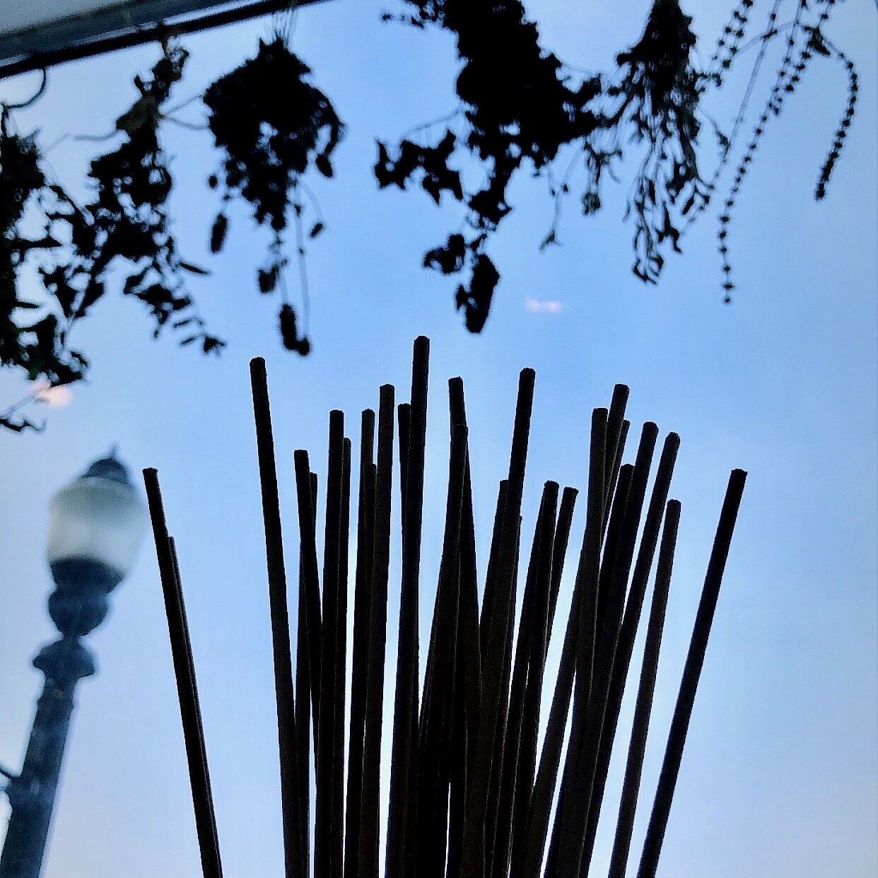 7D5D0610-85CB-4621-A30E-237956B41D3E.jpeg