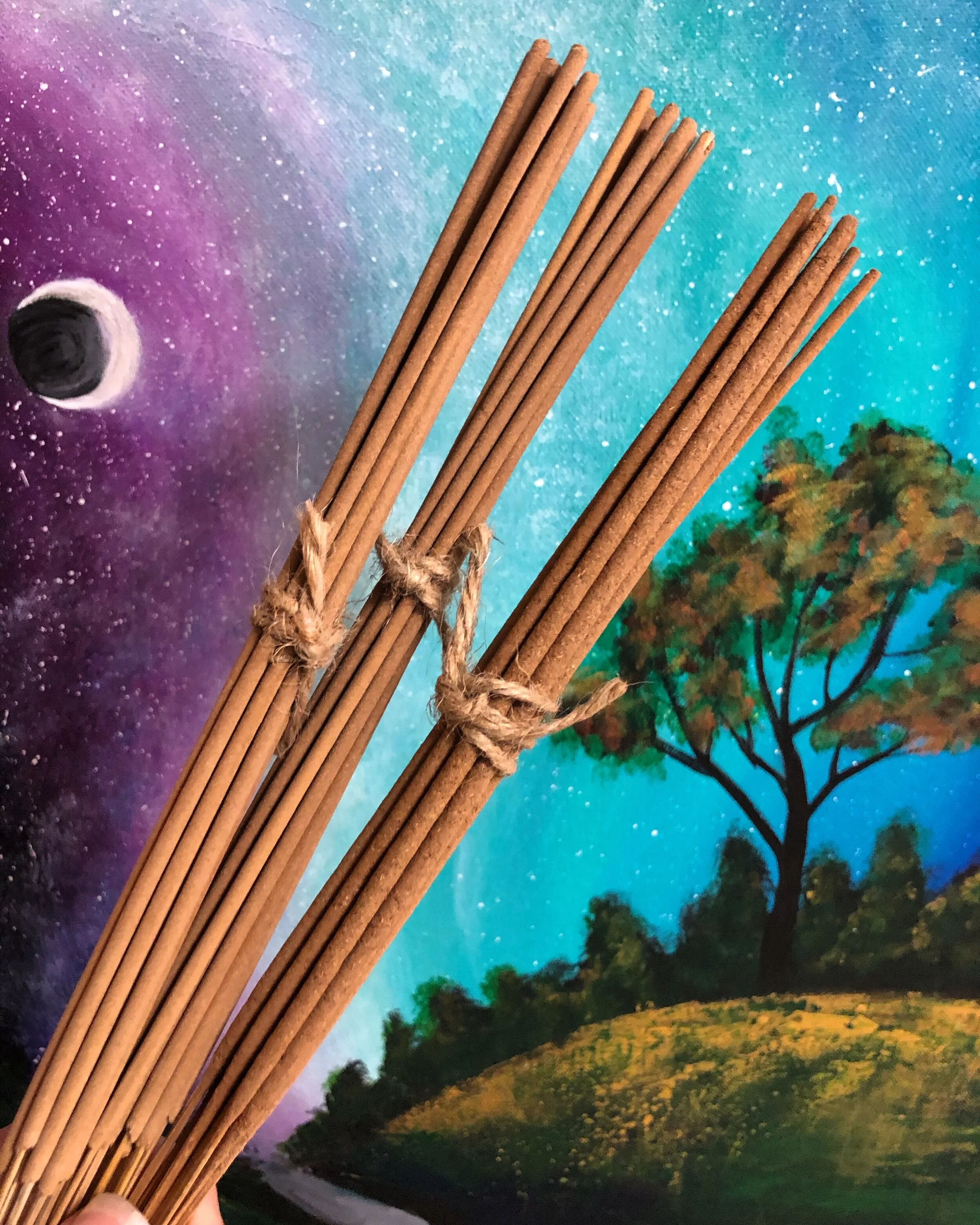 Envisage Incense - 15 Hand Dipped Sticks