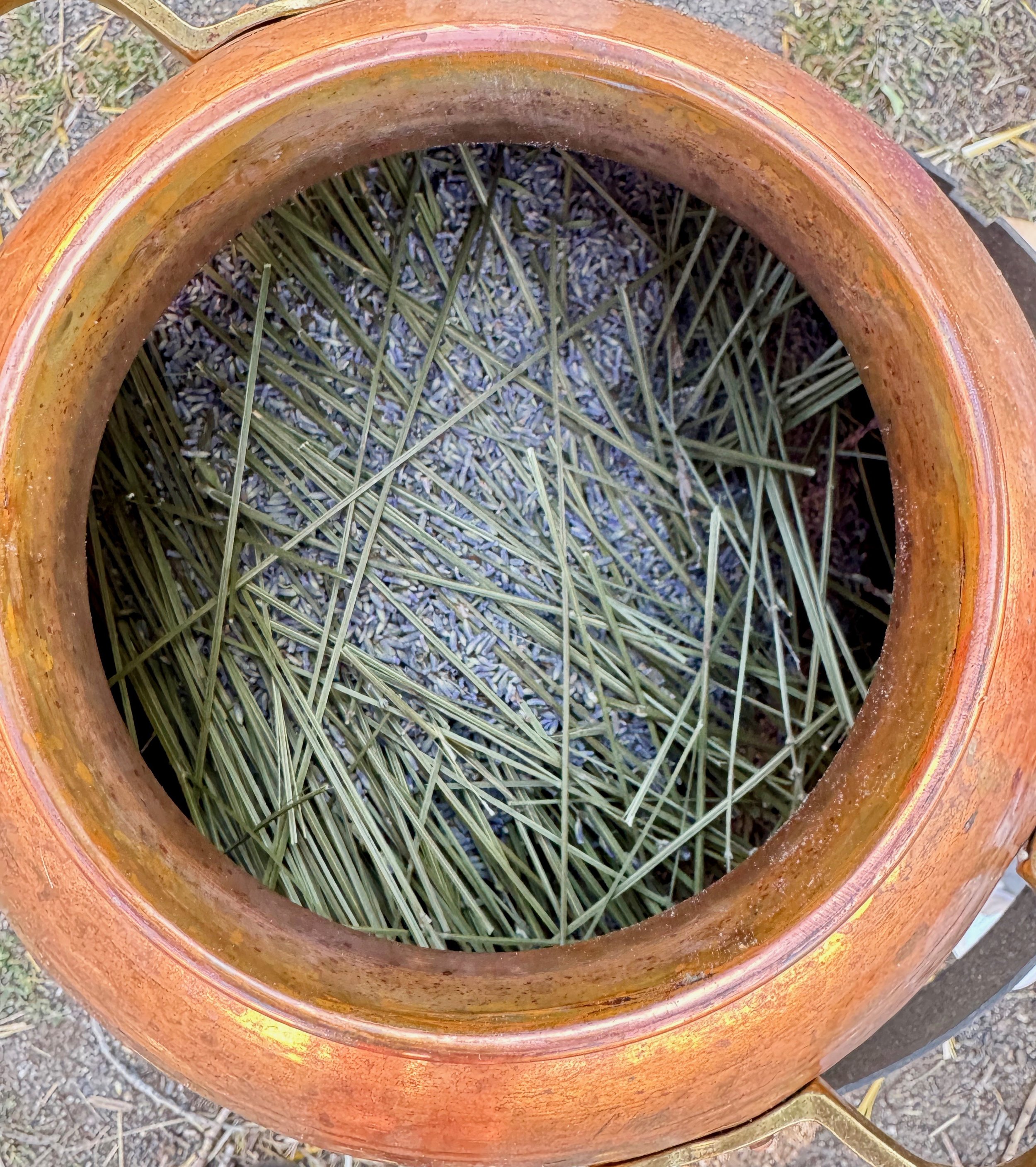 lavender_distillation.jpg