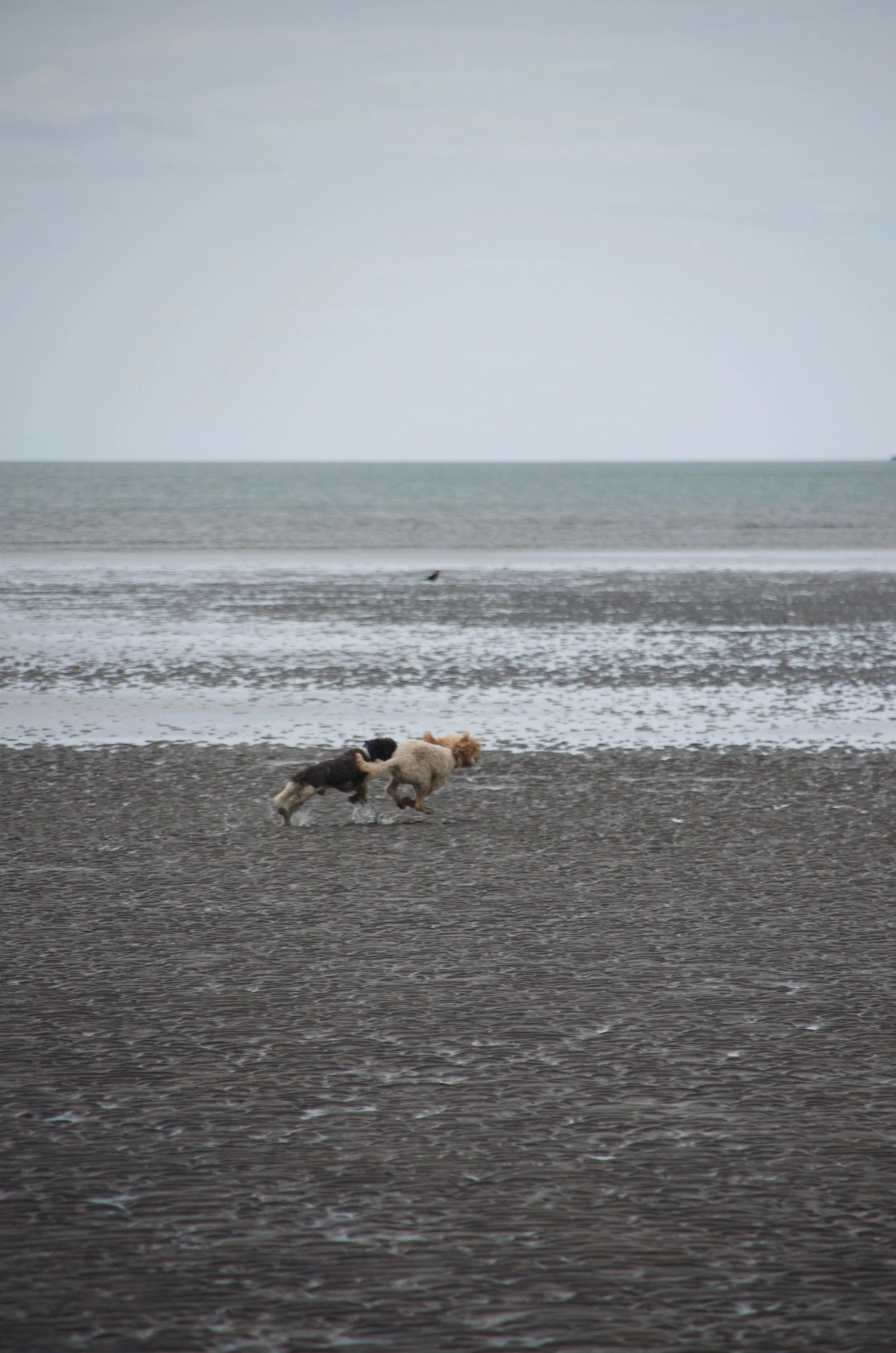 DSC_0768.jpg