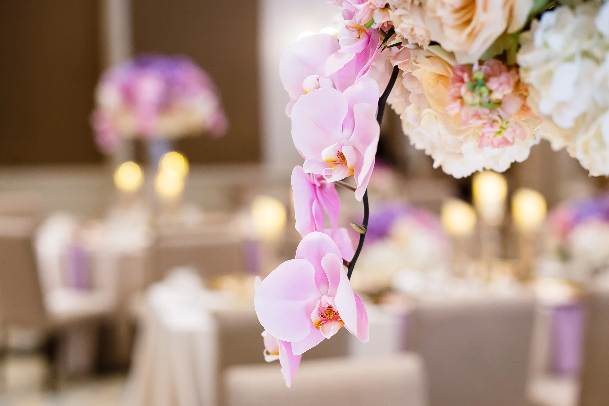 BRIDAL-BRUNCH-DALLAS-PRODUCED-BY-WEDDING-PLANNER-CHRISTY-RECORD-SWANK-SOIREE-PHOTOGRAPHY-AMBER-STUDIO (7).jpg