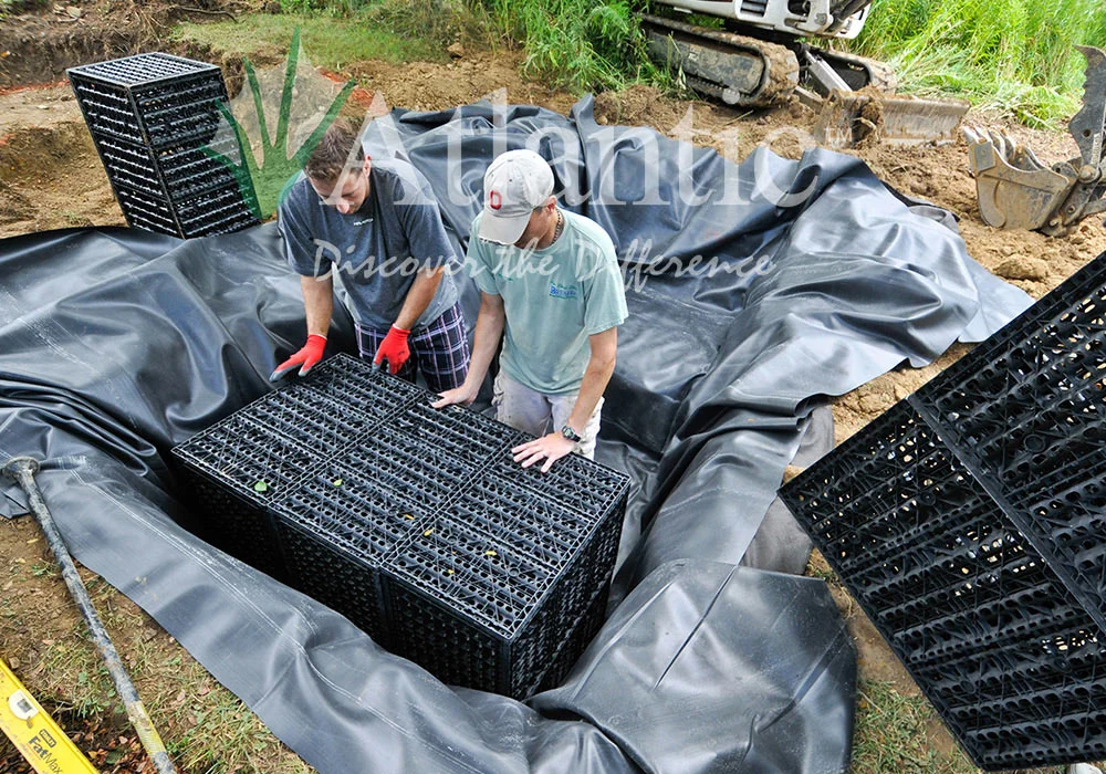 Think Outside The Pond