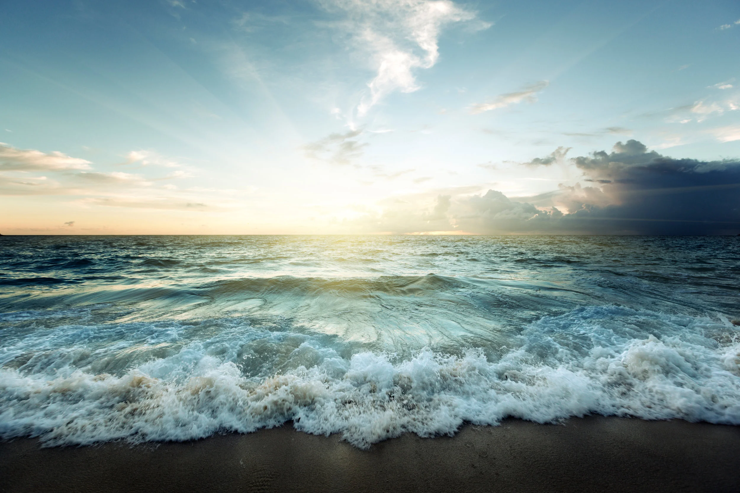 AdobeStock_78131427.jpeg