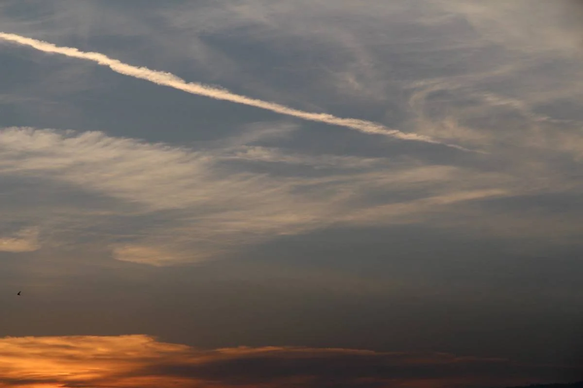 SET IMG_3681NCTN.JPG