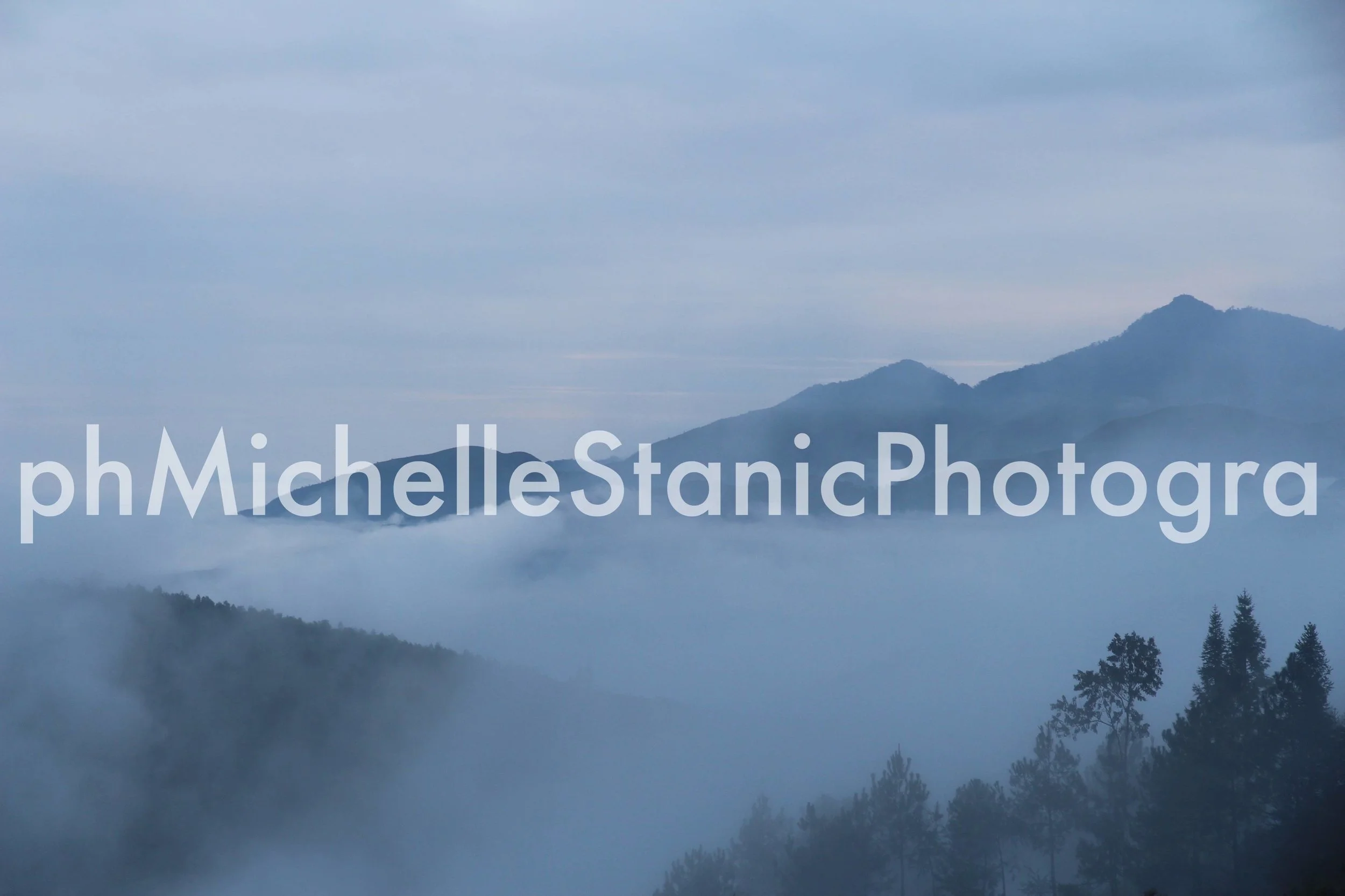 MIST IMG_6840NCWM.JPG