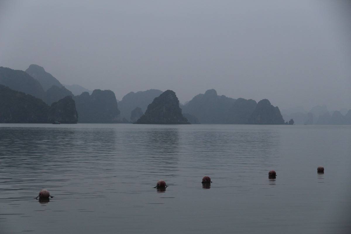 BUOYS IMG_5757NCTN.JPG