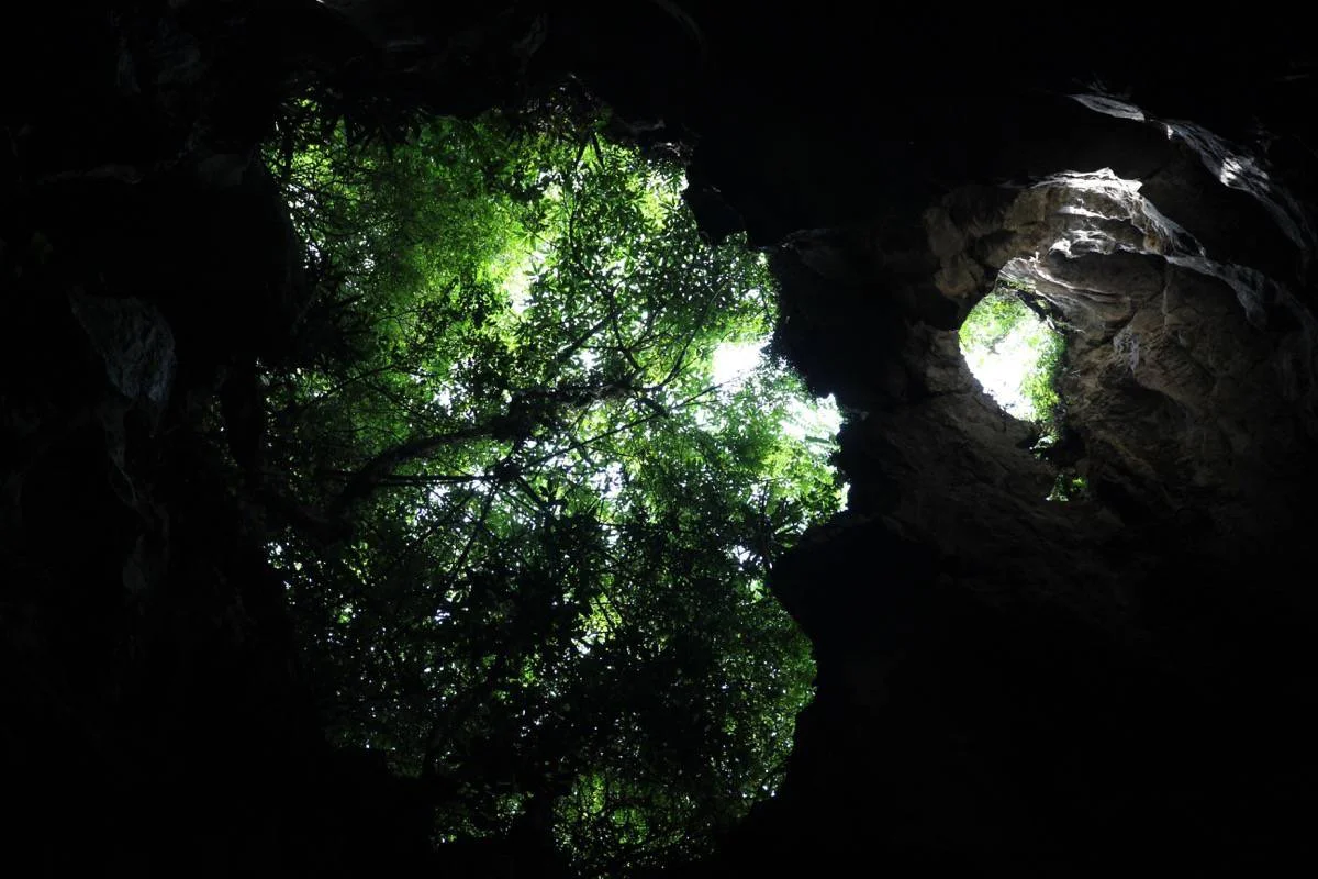 LUSH IMG_5019NCTN.JPG