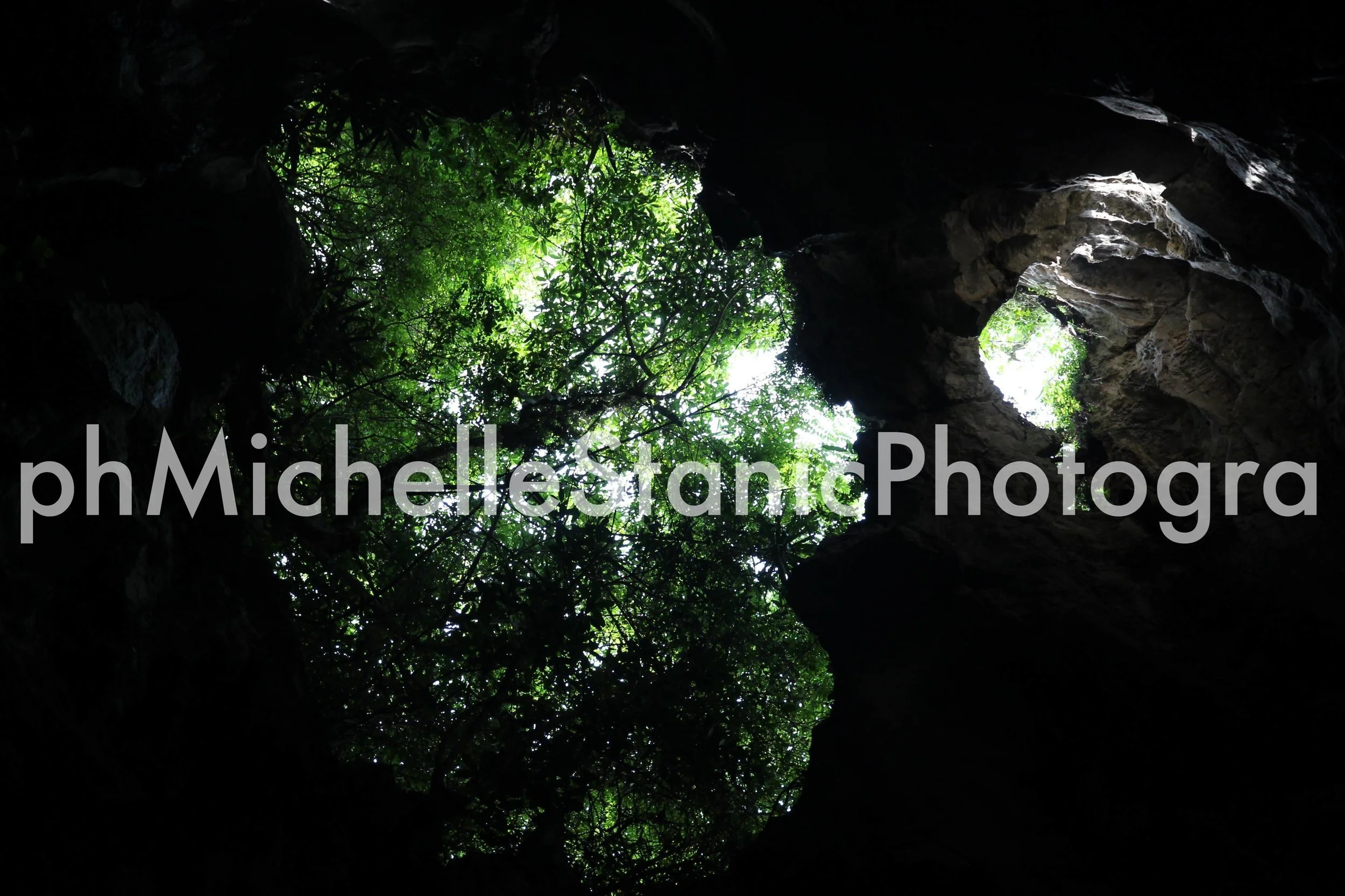 LUSH IMG_5019NCWM.JPG