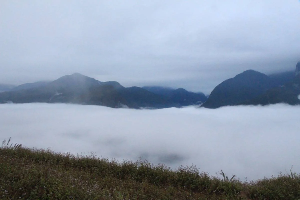 FOG IMG_6829NC NEEDS EDITTN.JPG