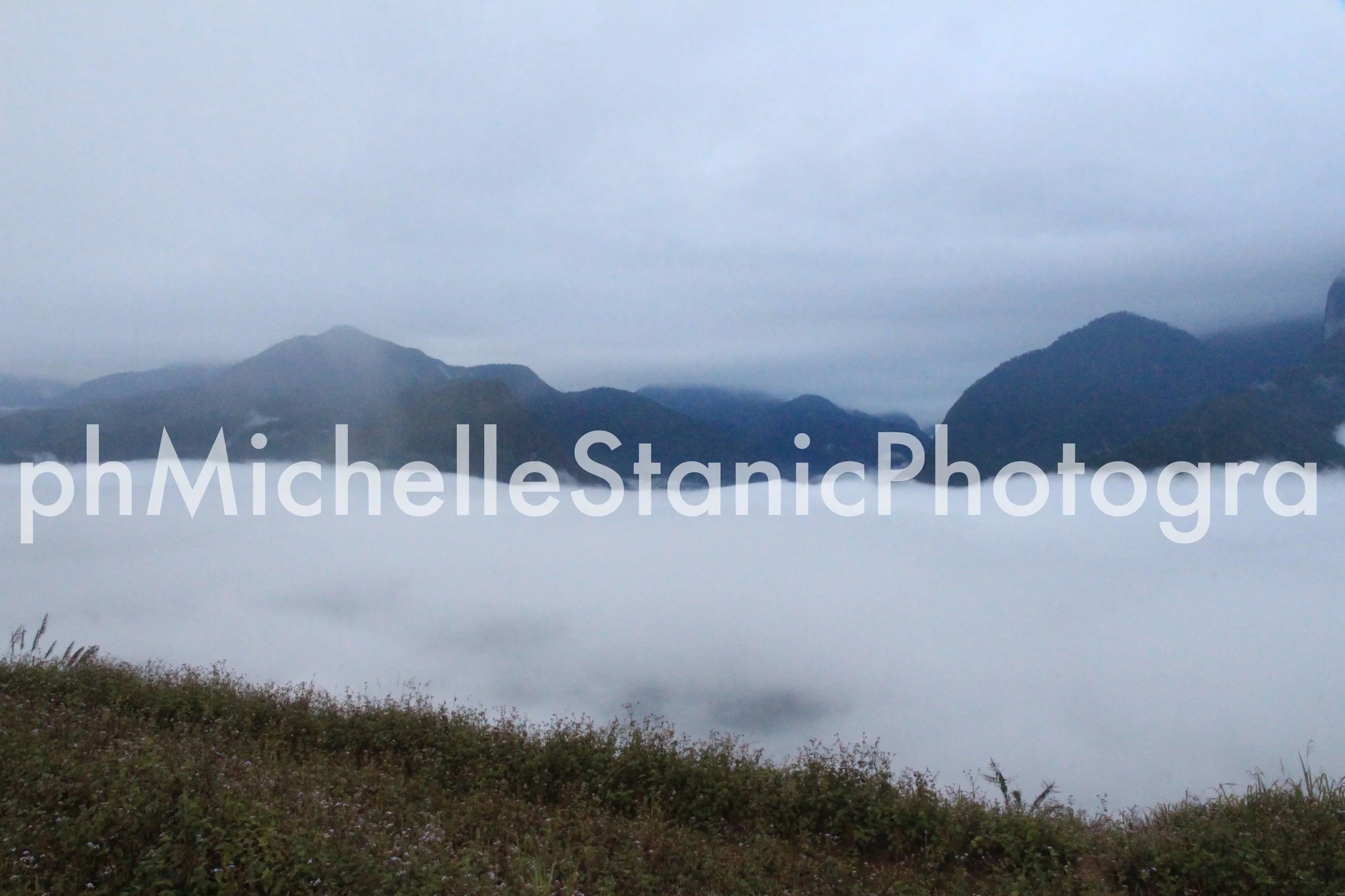 FOG IMG_6829NC NEEDS EDITWM 311 3800.JPG