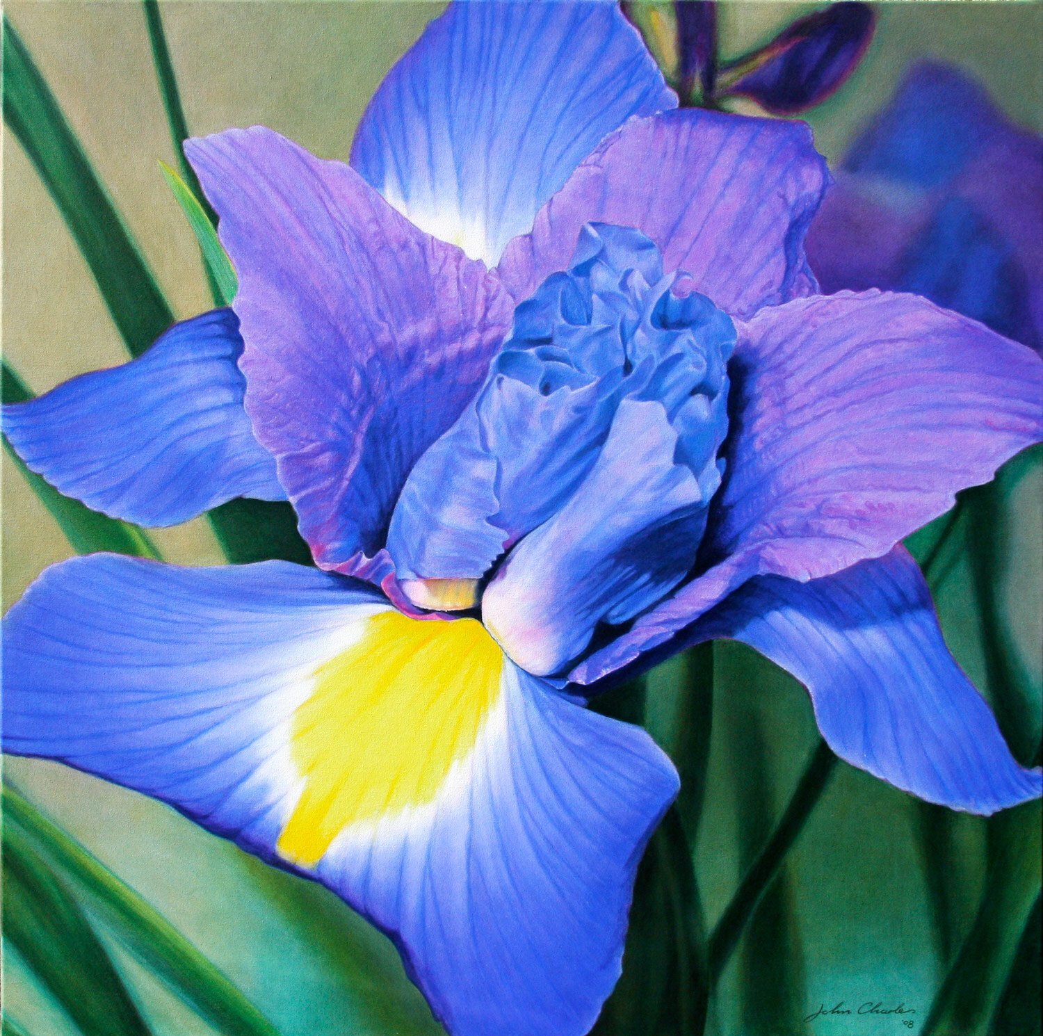 Iris blue