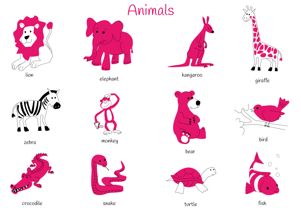 Theme 6: Animals