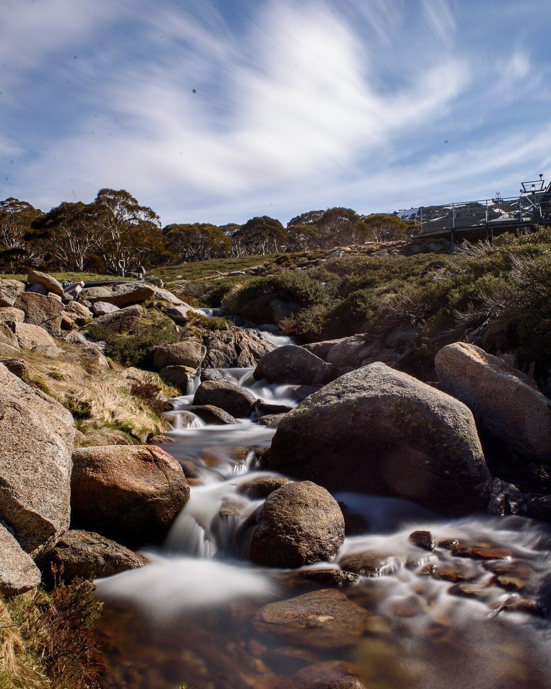 Making friends with spiders was worth it for this shot 🕷️🕸️
📍 Charlotte's Pass, Kosciusko National Park - #ngarigocountry