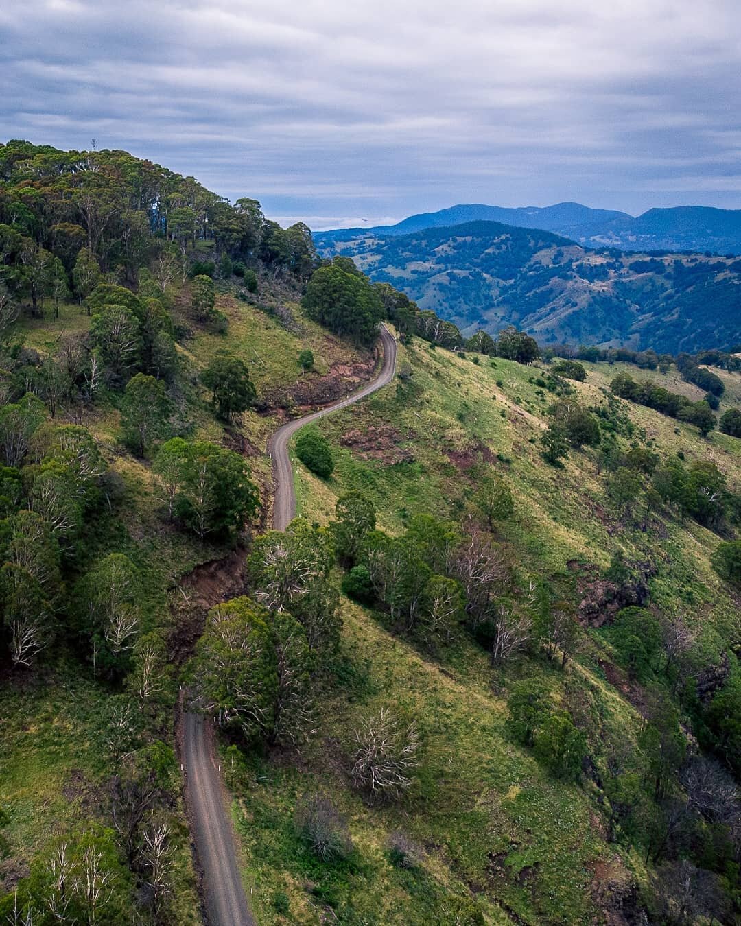 The road to 📍Barrington Tops - #geawegalcountry #worimicountry #wonaruahcountry #biripicountry