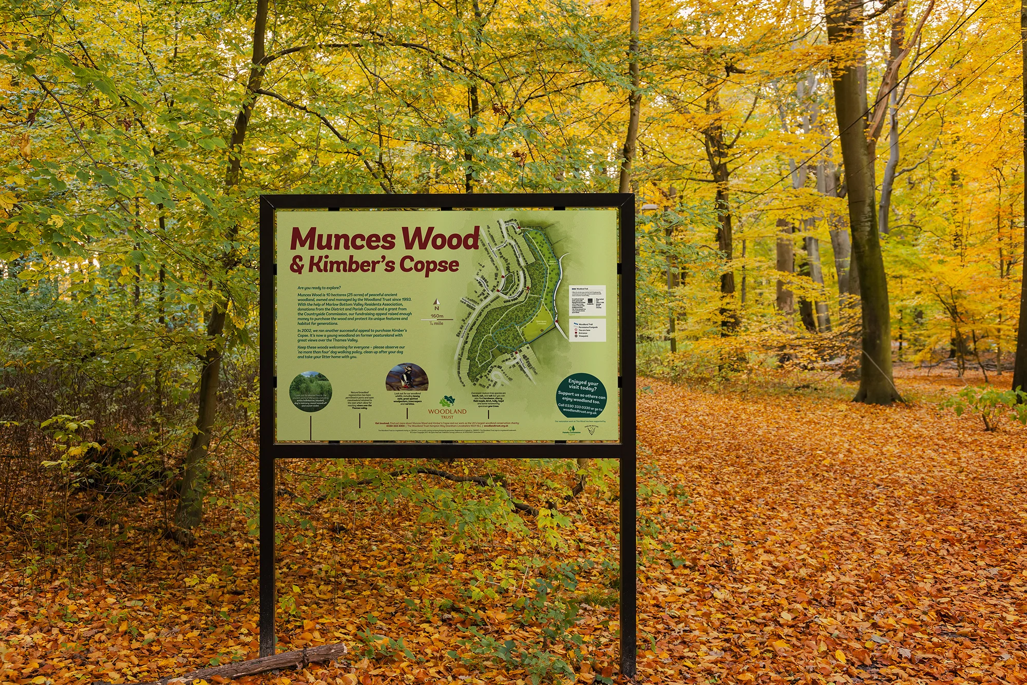 munces_wood_board.jpg