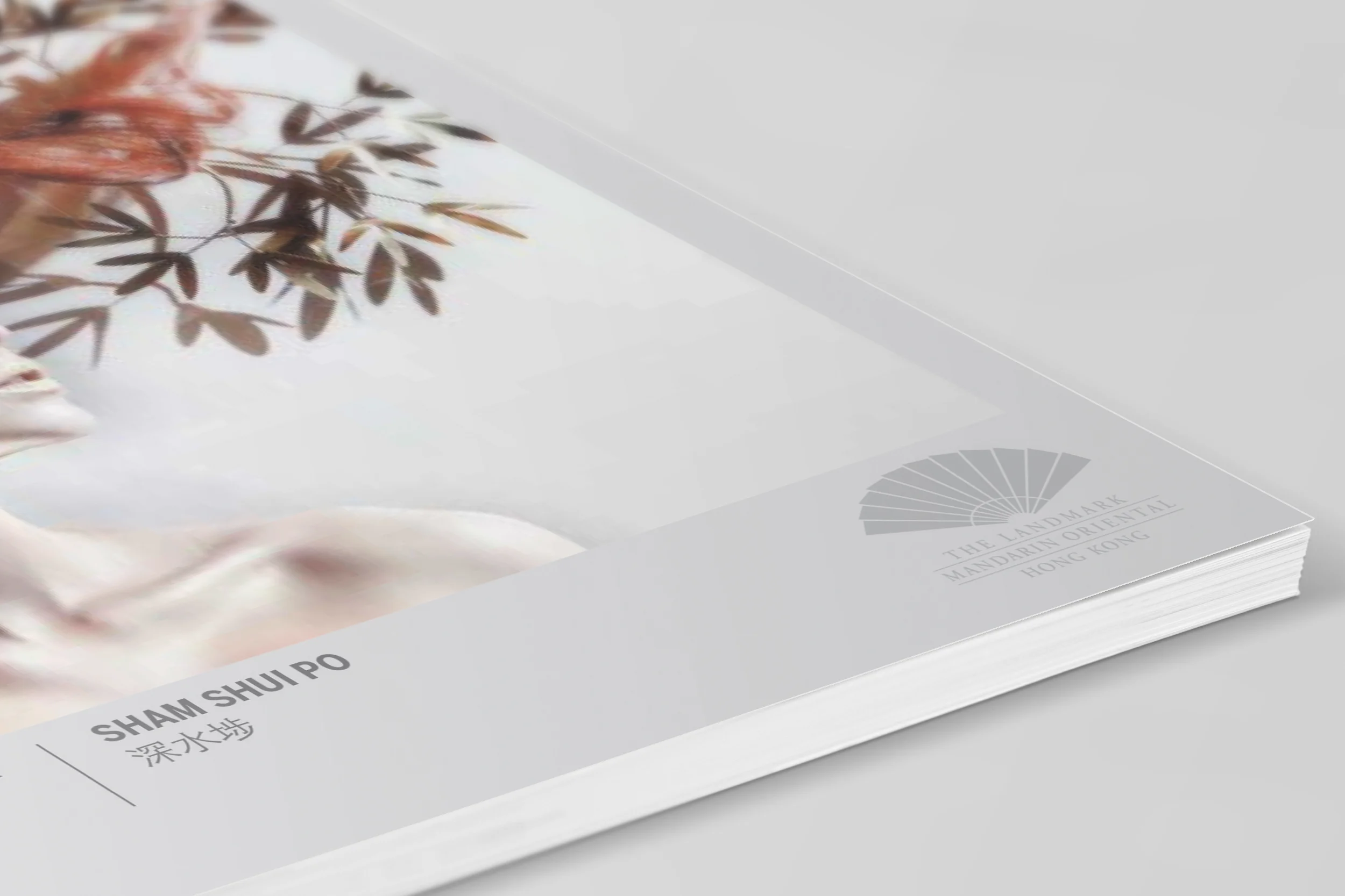 lmo cover close up.jpg