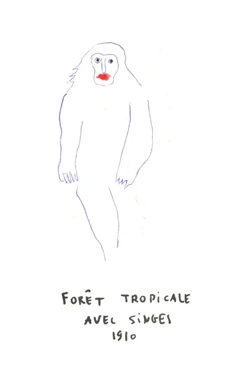 foret-tropi-singe.jpeg