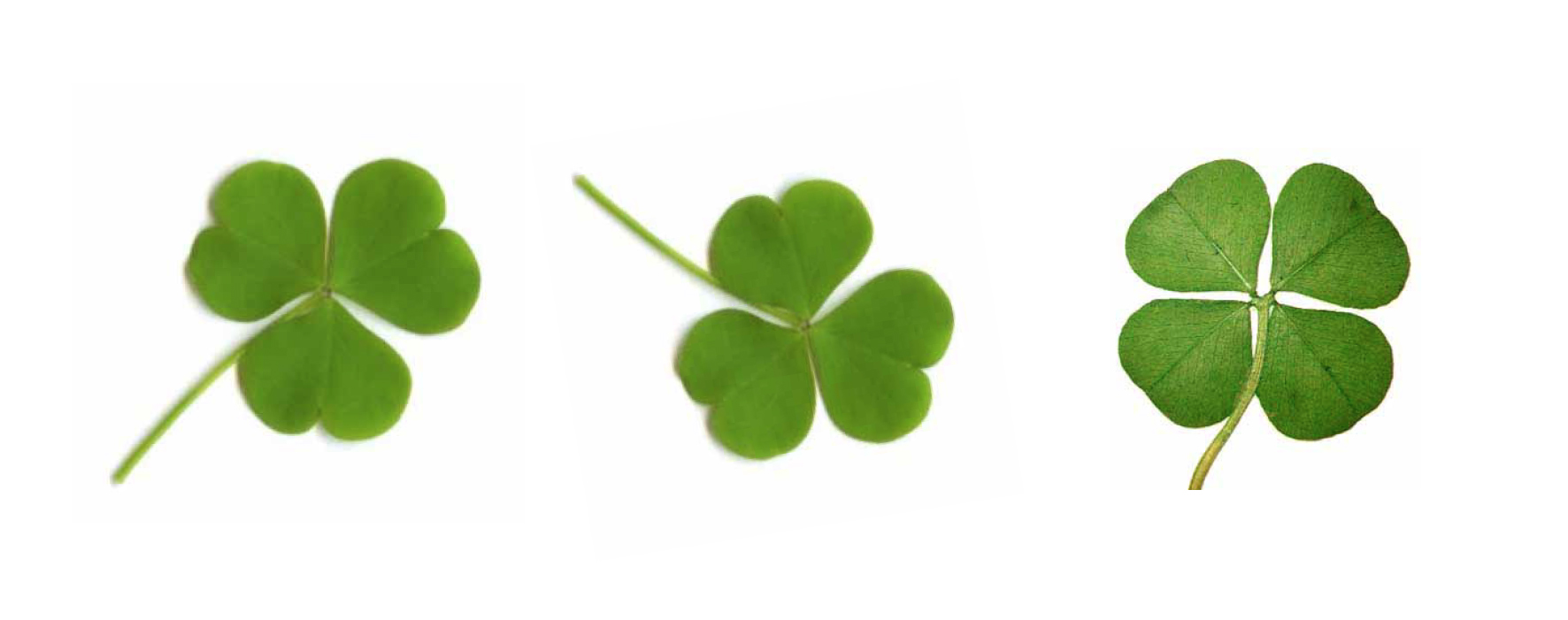 'third time lucky'