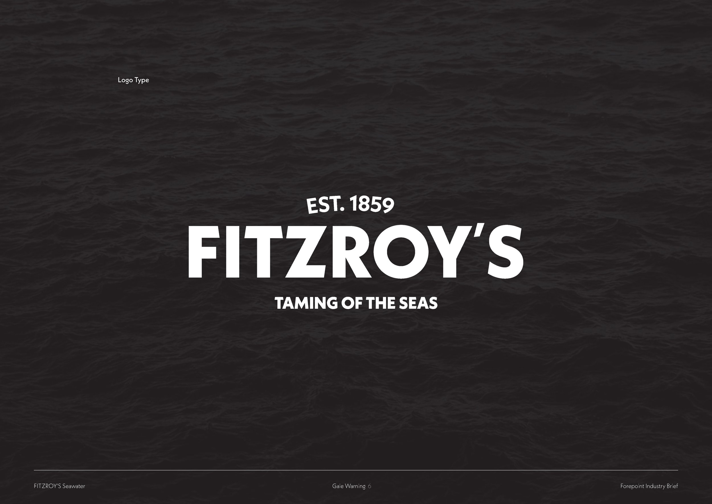 FitzRoy'sFinalPresentation_Page_06.jpg