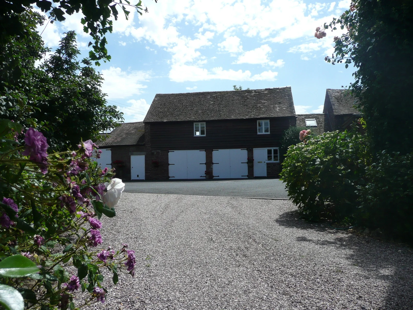 Memory Card - Nov16 625.JPG