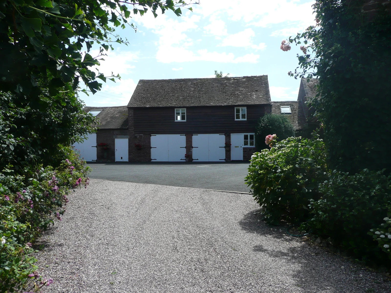 Memory Card - Nov16 624.JPG