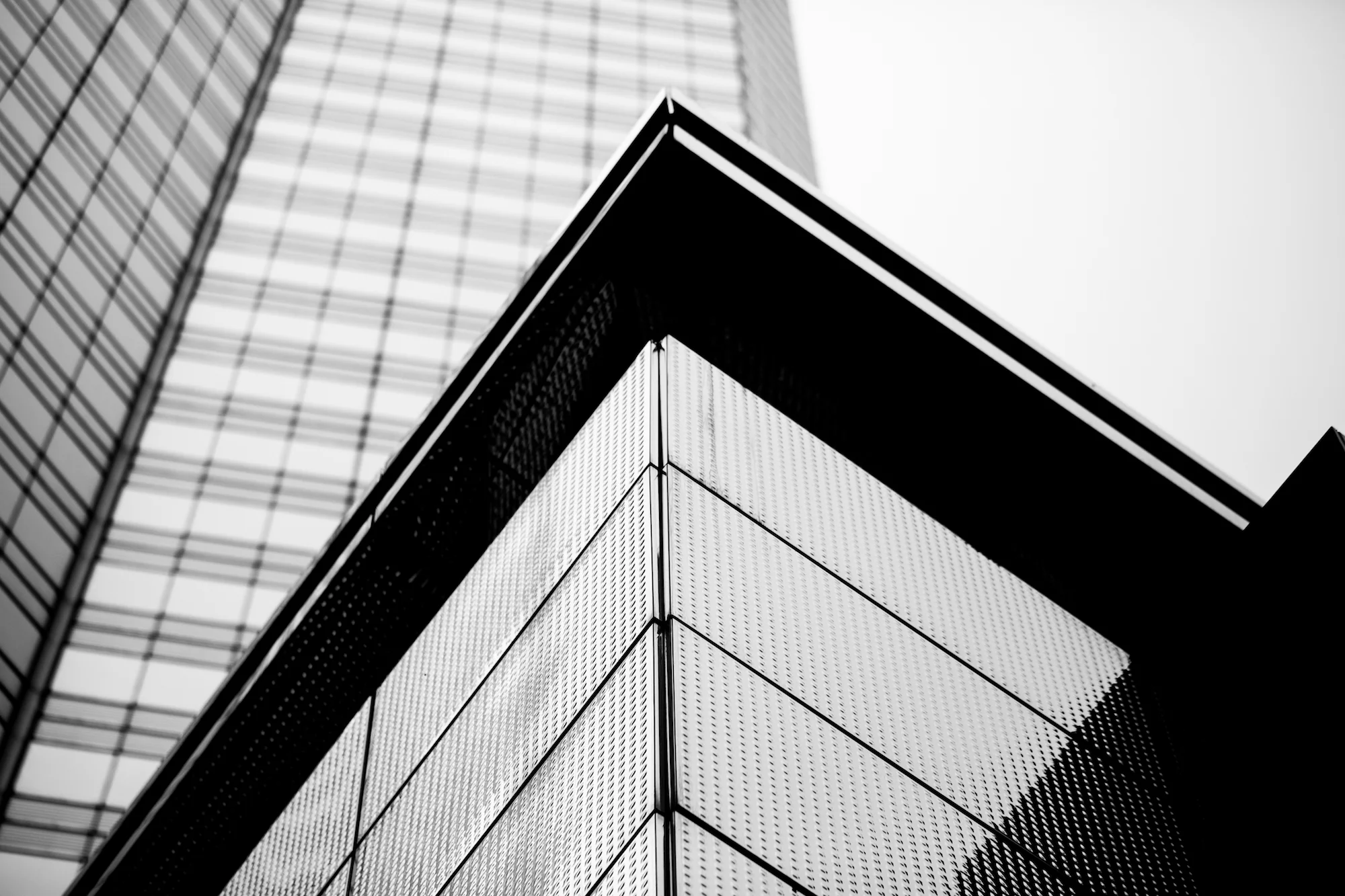 shutterstock_362977247.jpg