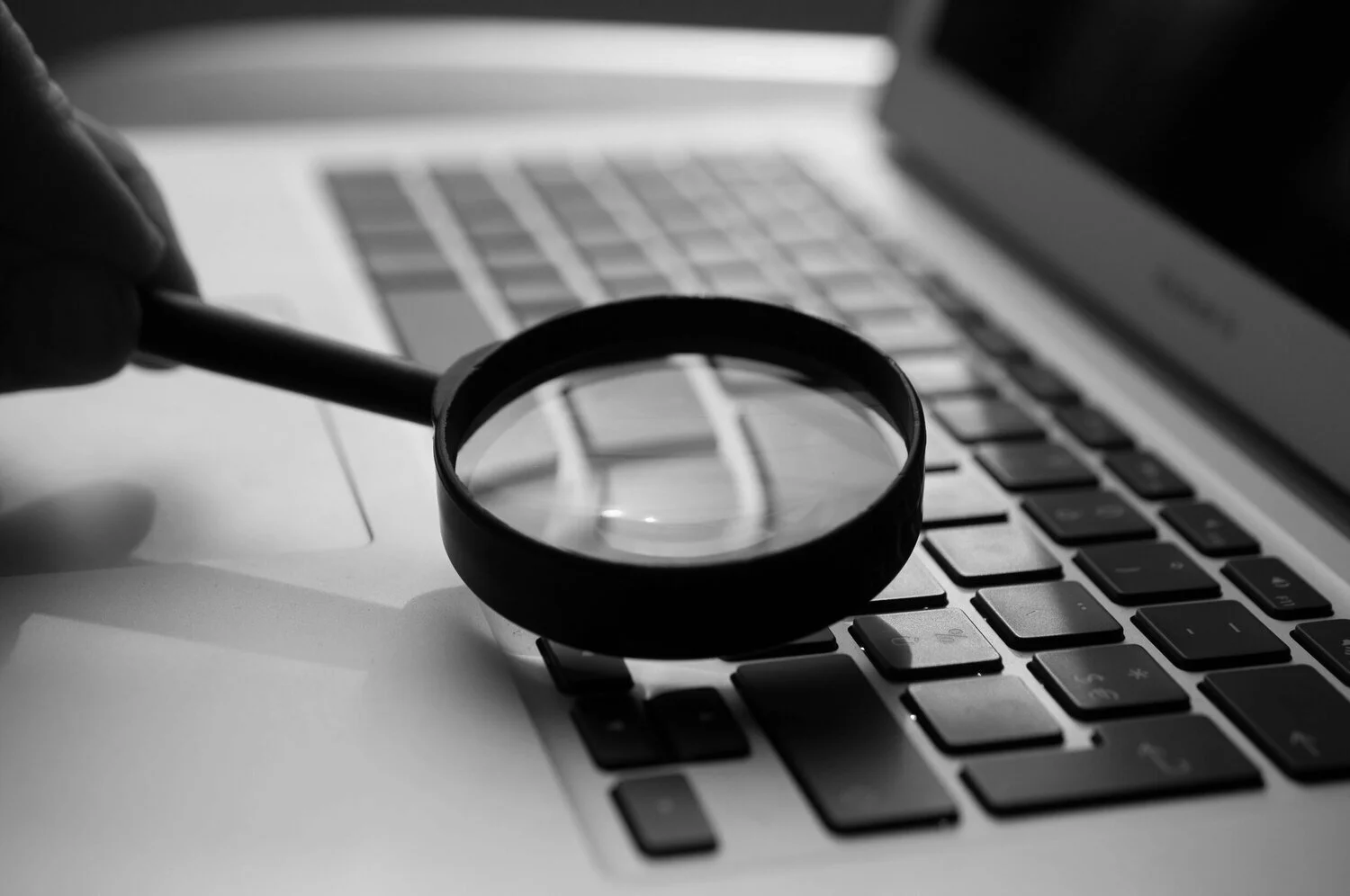 What Is Forensic Accounting and Fraud Investigation?