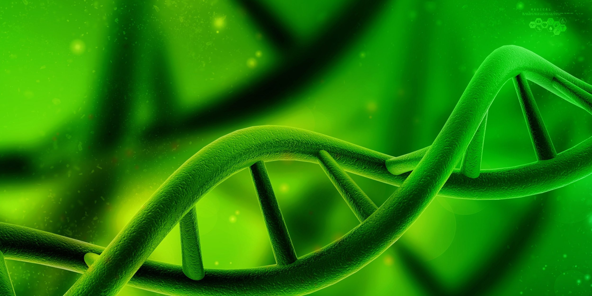 Physical Traceability: The Power of DNA Tracking — Bomler