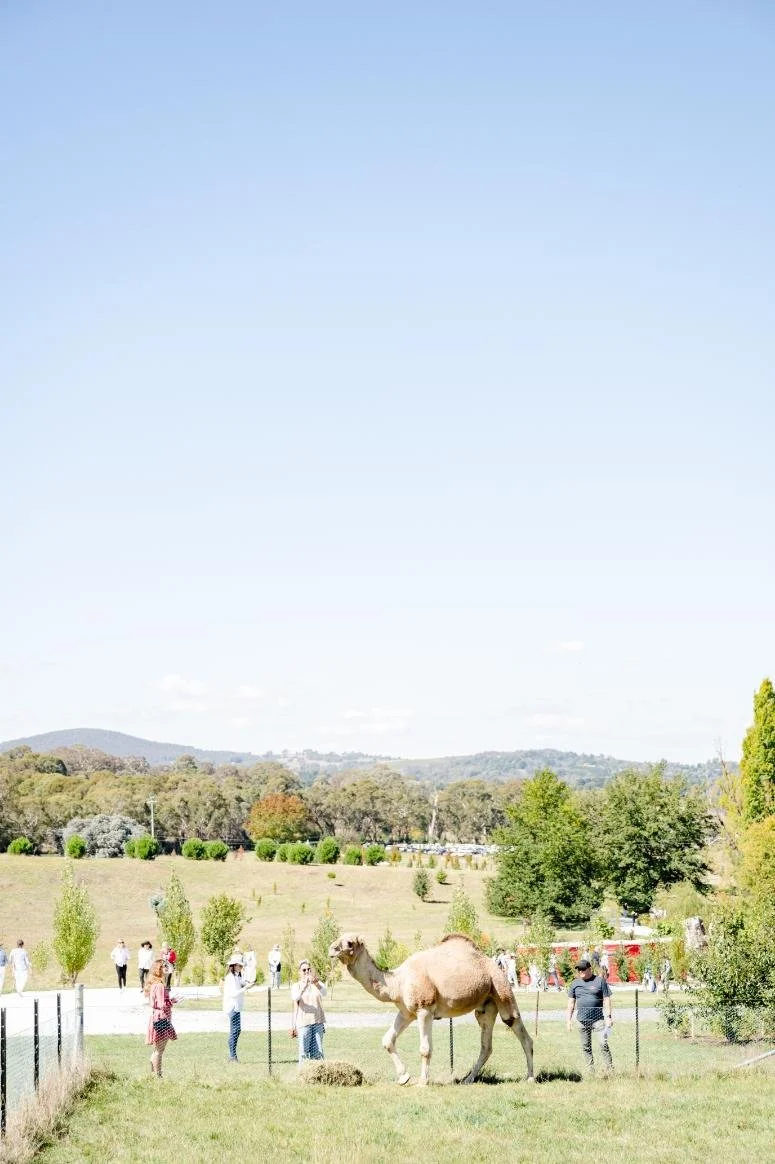 Rosedale-OpenGarden-APR-2024-MoniqueLovickPhotography-161.jpg